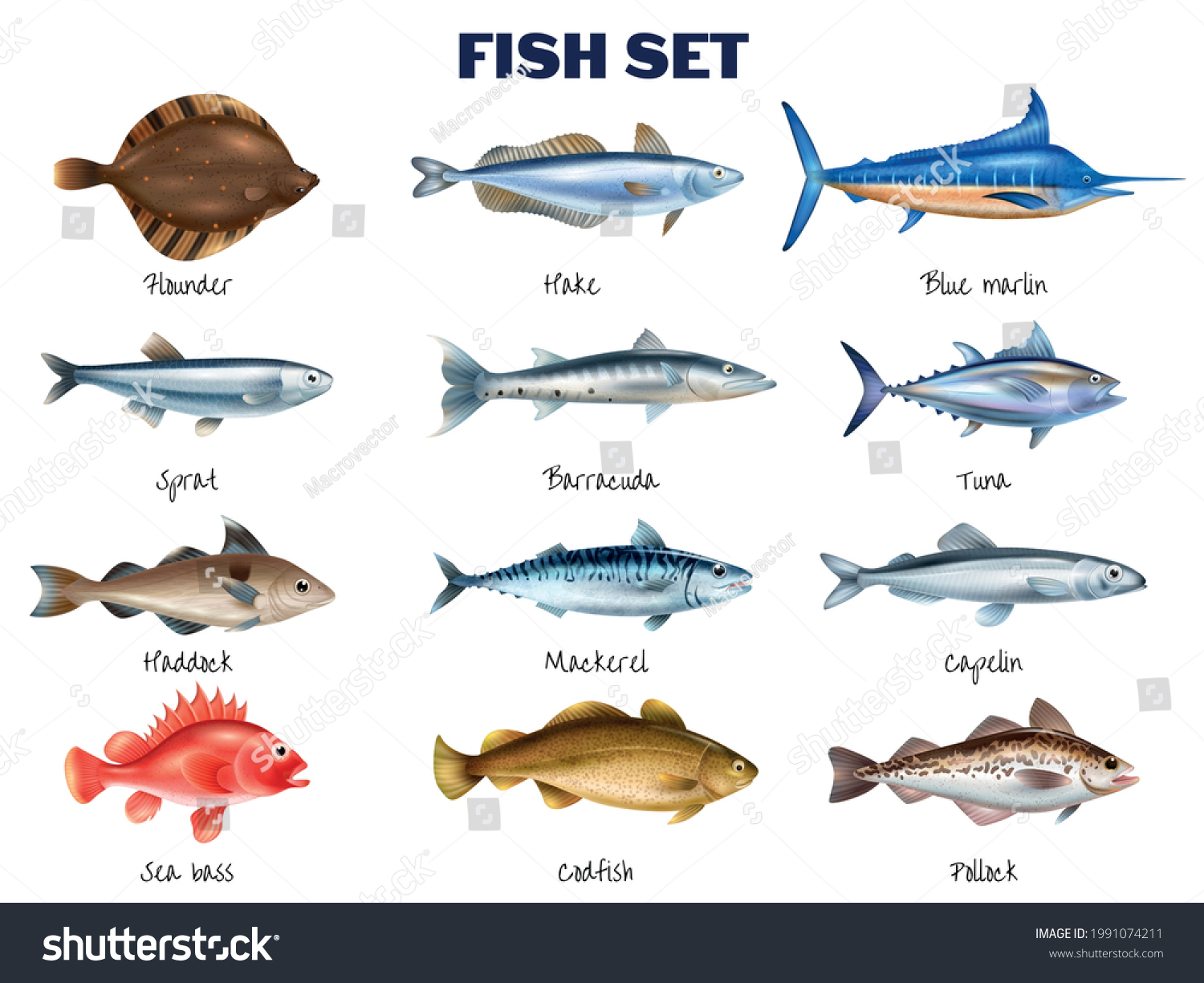 Mackerel Images, Stock Photos & Vectors | Shutterstock