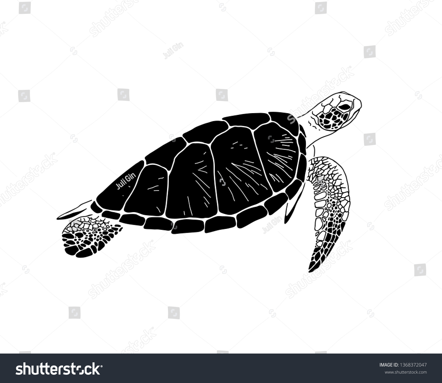 Sea Turtle Graphic Art Isolated Object Stock Vector Royalty Free 1368372047