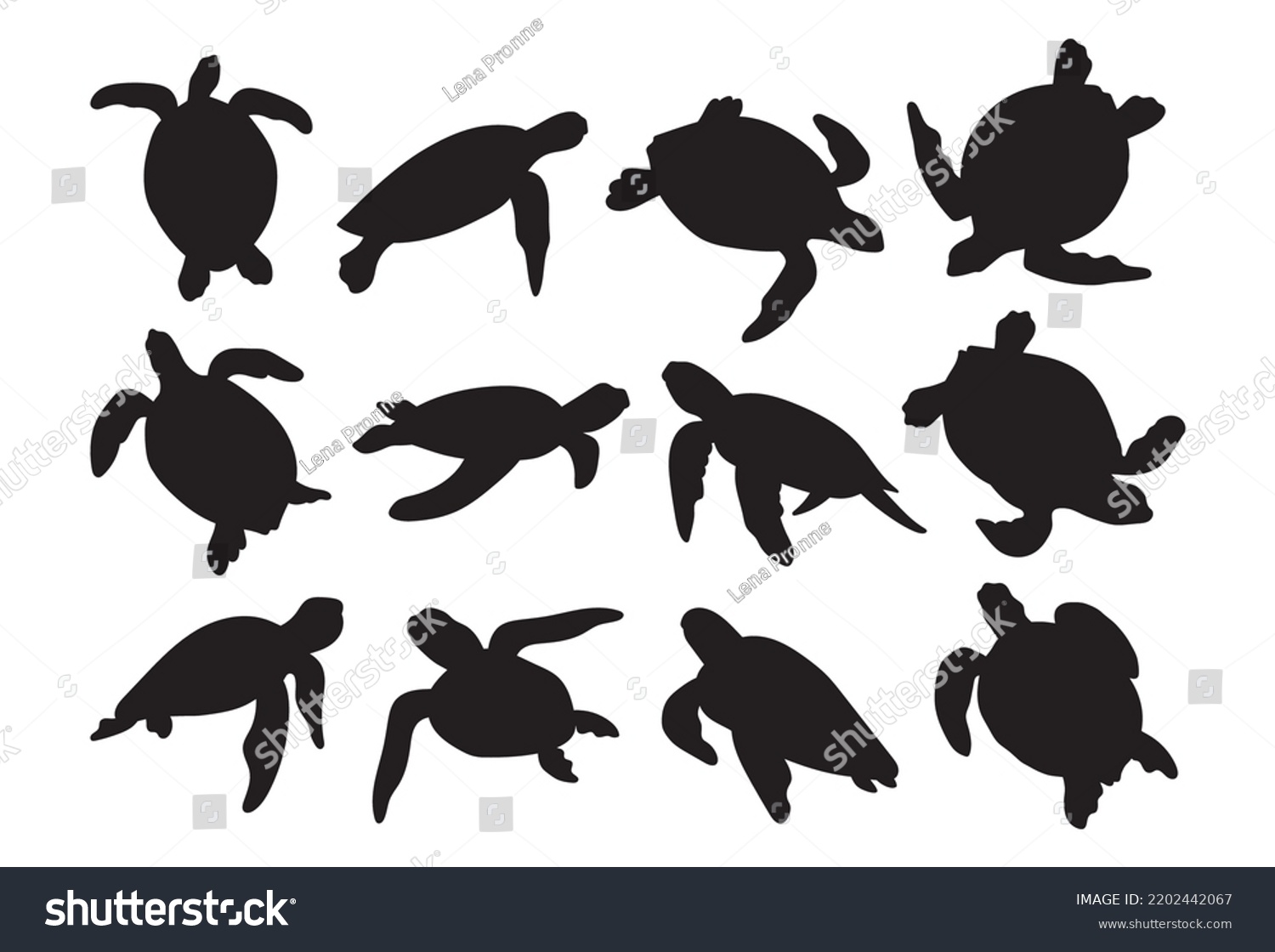 SVG of Sea turtle stencil template bundle isolated on white background svg
