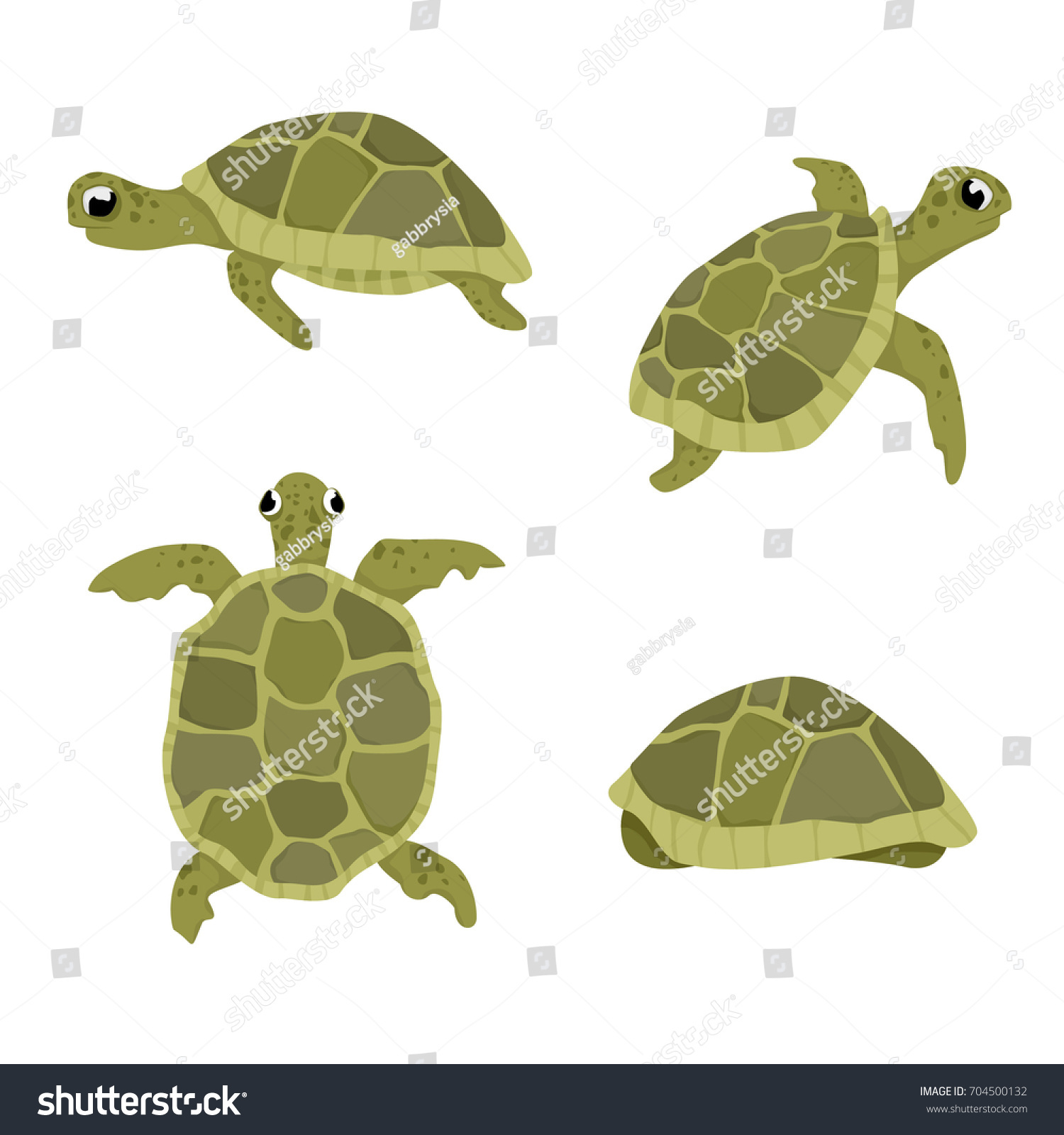 Sea Turtle Vector Illustration Set Isolated Stock Vector (royalty Free 