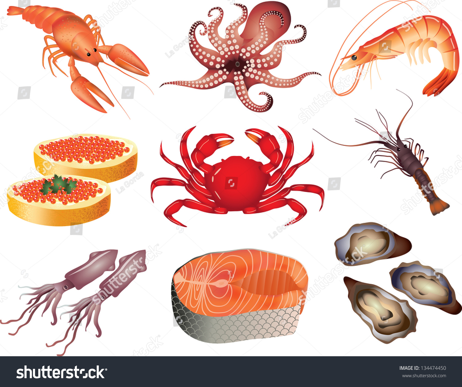 1,448 Sea animals realistic silhouett Stock Vectors, Images &amp; Vector Art | Shutterstock