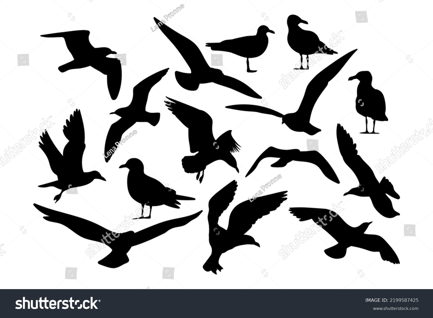 SVG of Seagull set templates for cutting programs svg