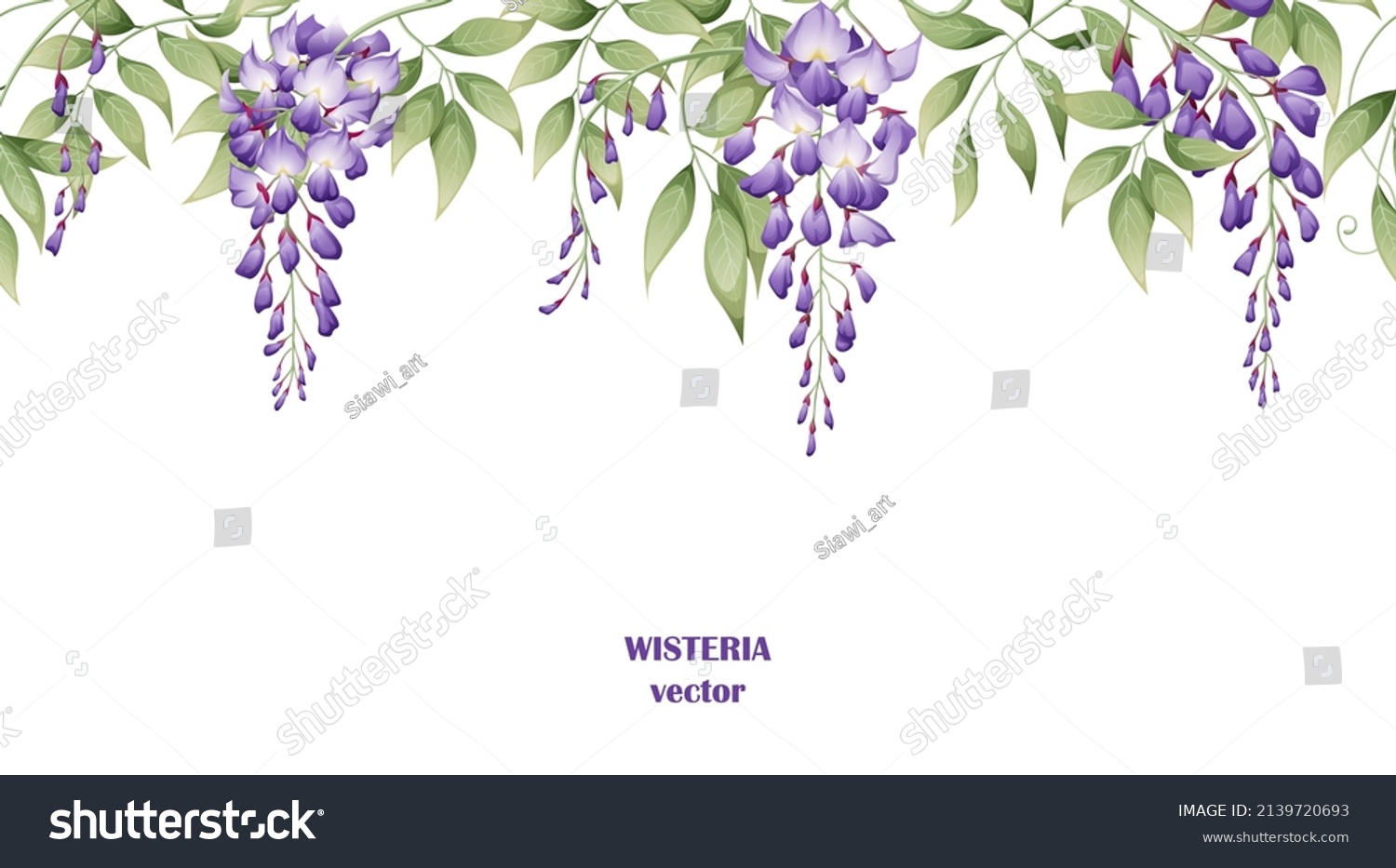 SVG of Seamless border of purple wisteria flowers and green leaves on a white background. Background design. design of posters, postcards. Vector illustration svg