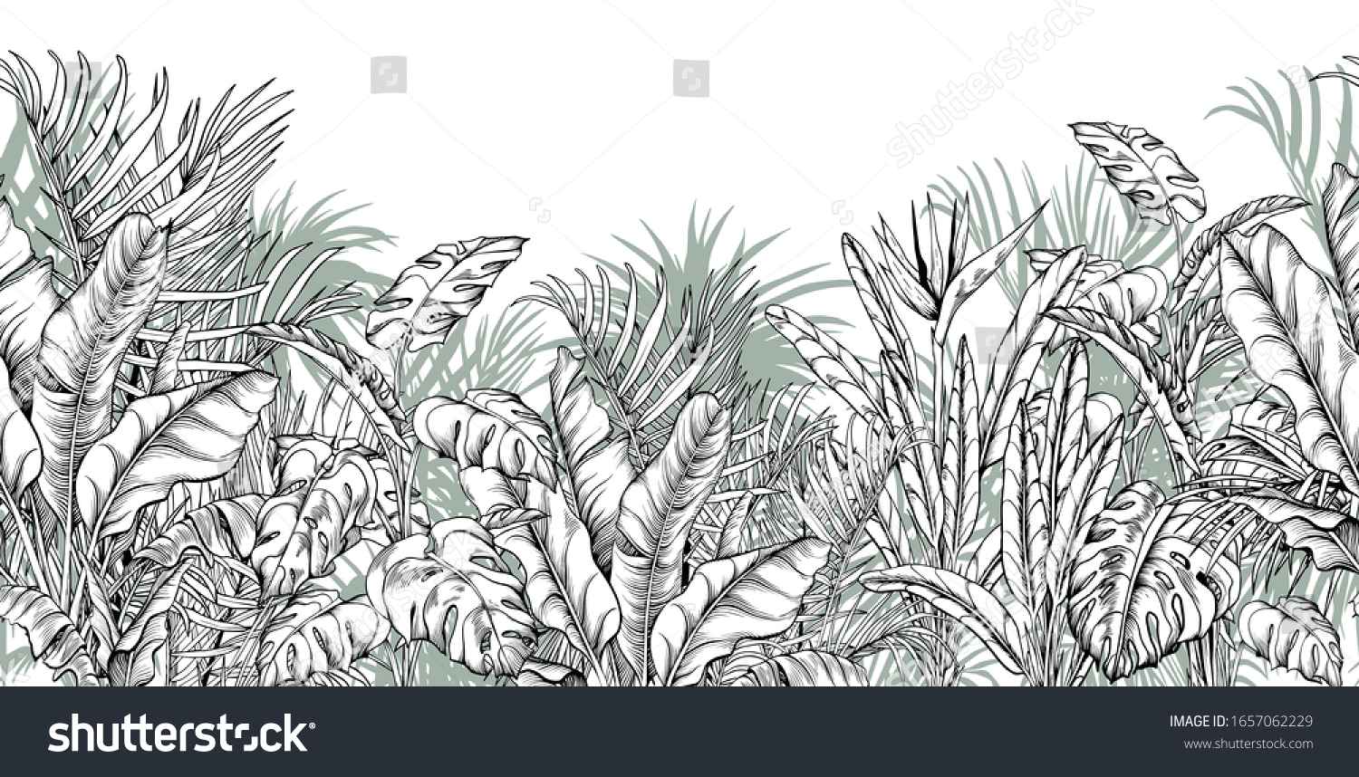 1,011 Oasis hand drawn Images, Stock Photos & Vectors | Shutterstock