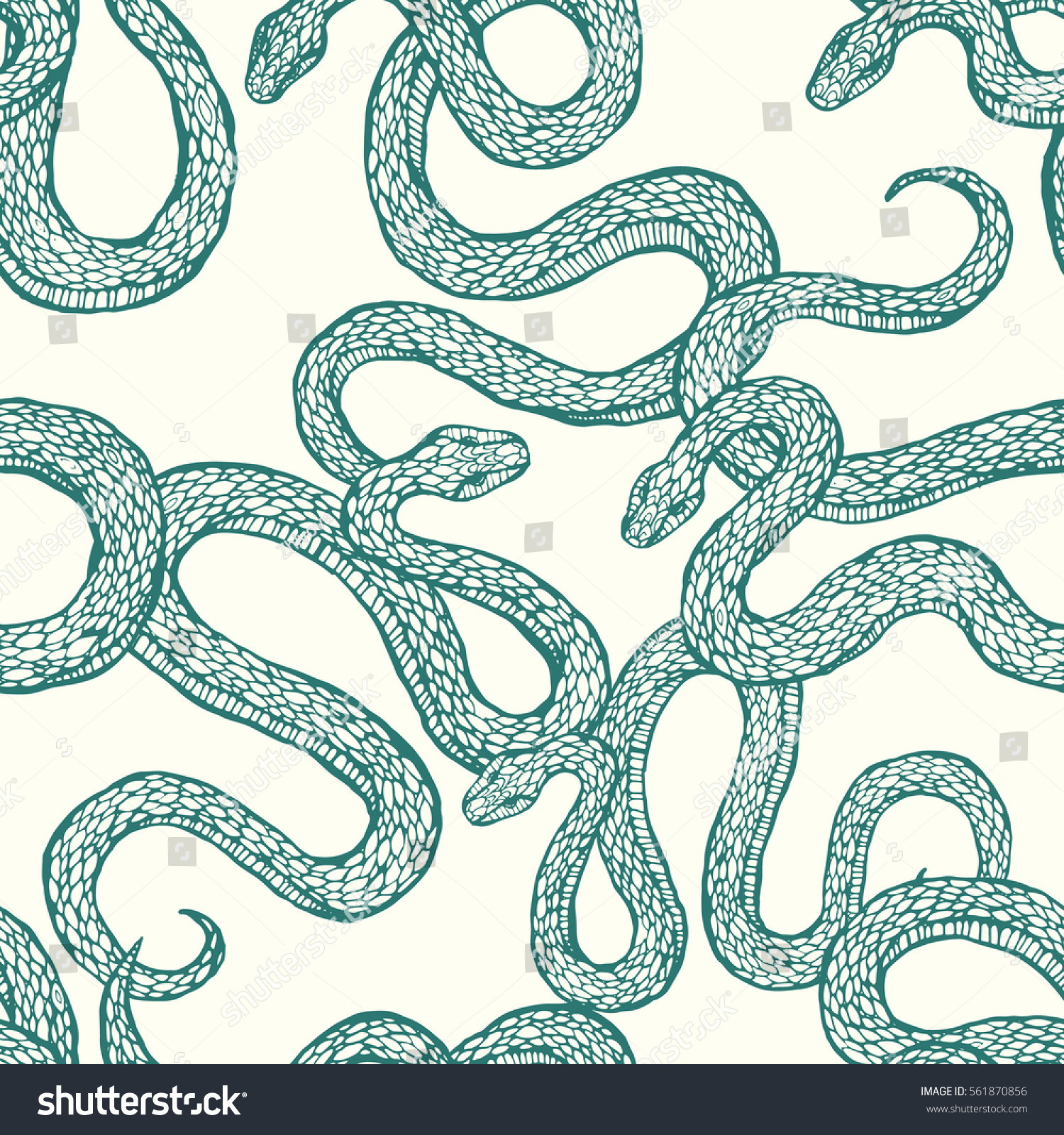 Seamless Hand Drawn Vector Pattern Snakes Stock Vector 561870856 ...