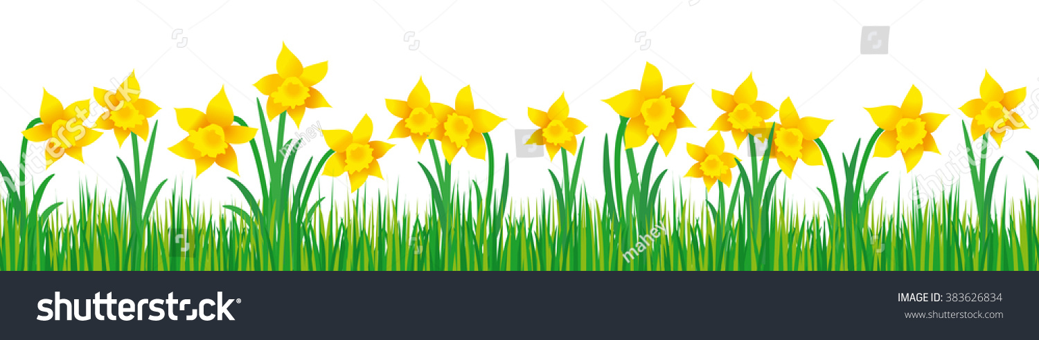 SVG of Seamless illustration of daffodils in green grass on white background; Banner with springtime motif svg