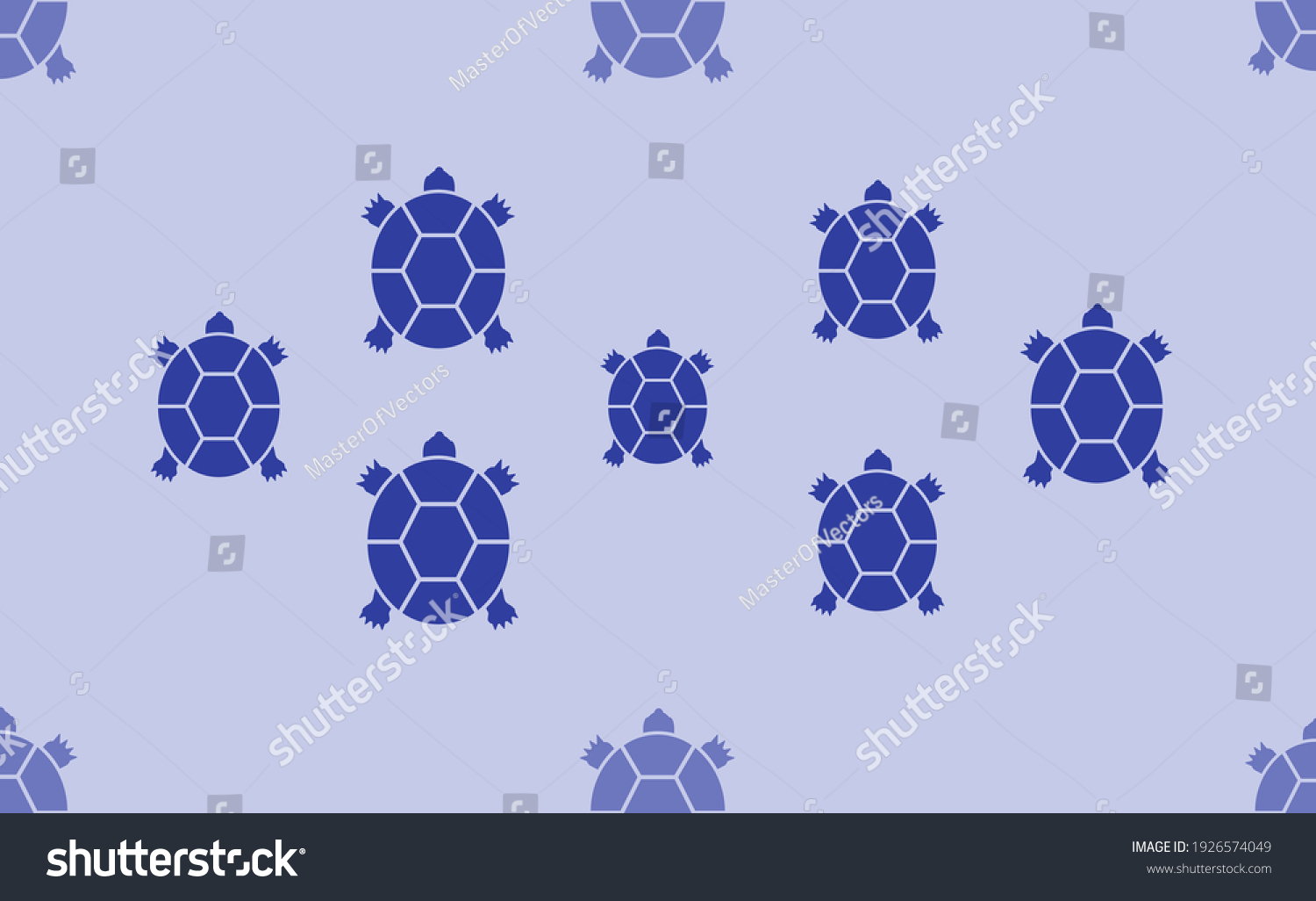 351 308 乌龟图片 库存照片和矢量图 Shutterstock