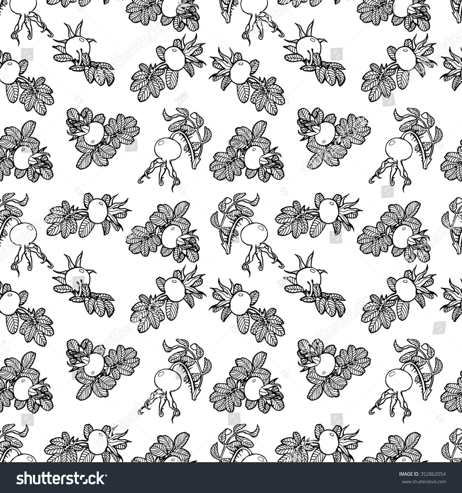 SVG of Seamless  pattern with graphic  dog-rose svg