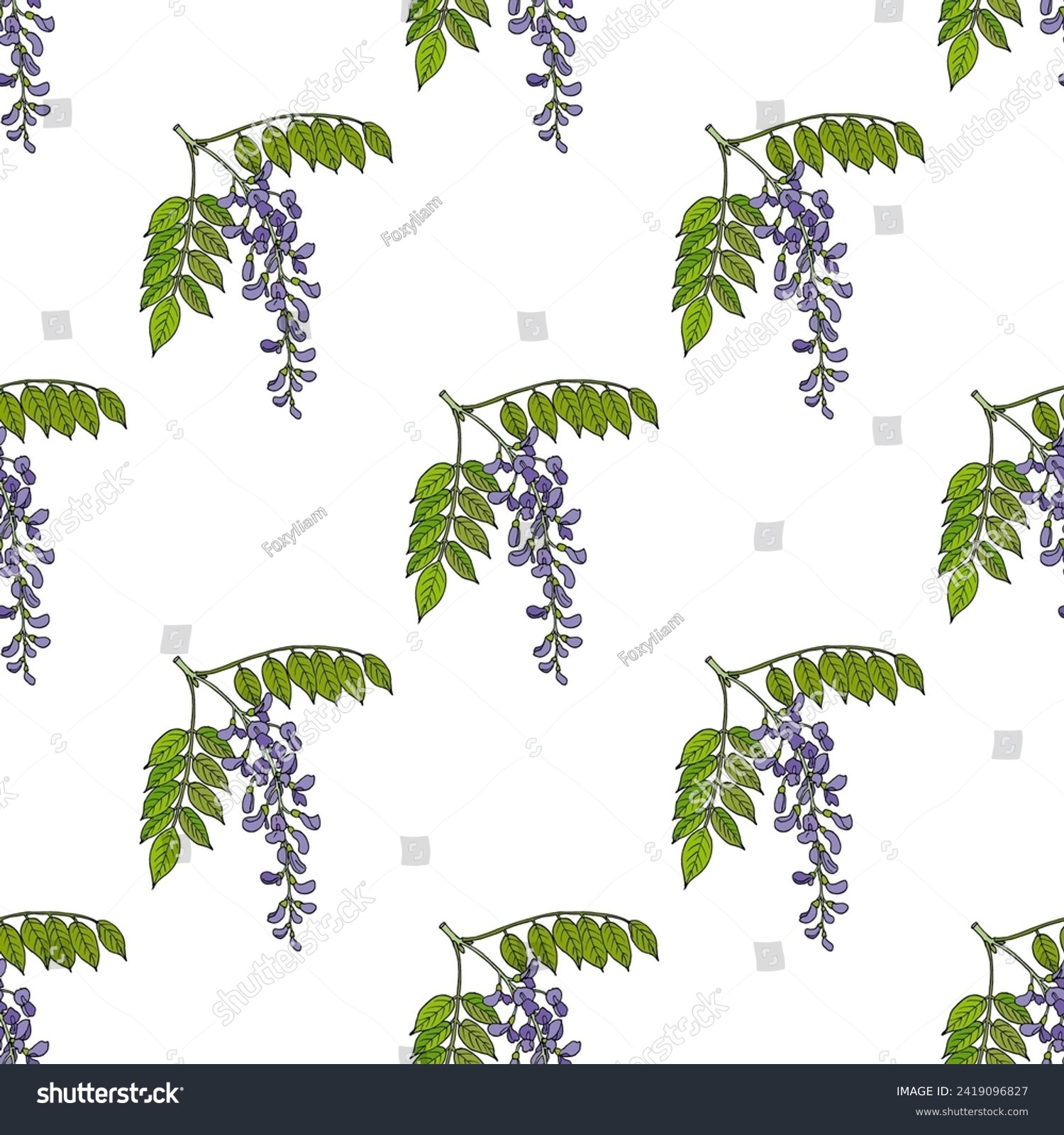 SVG of Seamless pattern with hand drawn chinese wisteria (wisteria sinensis), medicinal and ornamental plant. Vector illustration svg