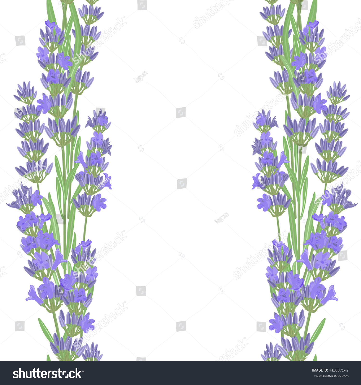 Seamless Pattern Lavender Flowers Bright Vector Stock Vector 443087542