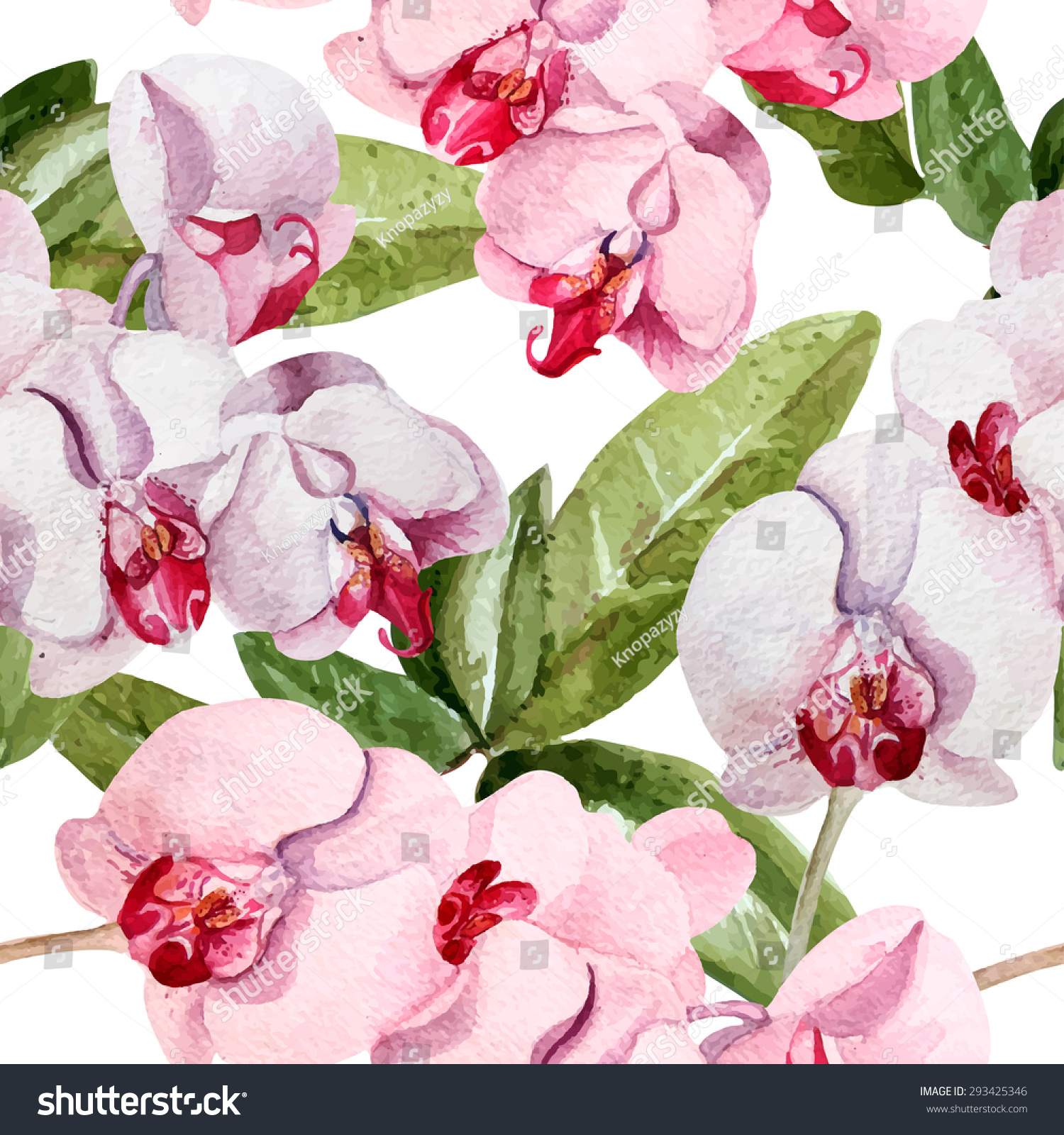 Seamless Pattern Delicate Peony Flowers Orchids: Vector Có Sẵn (Miễn Phí  Bản Quyền) 293425403 | Shutterstock