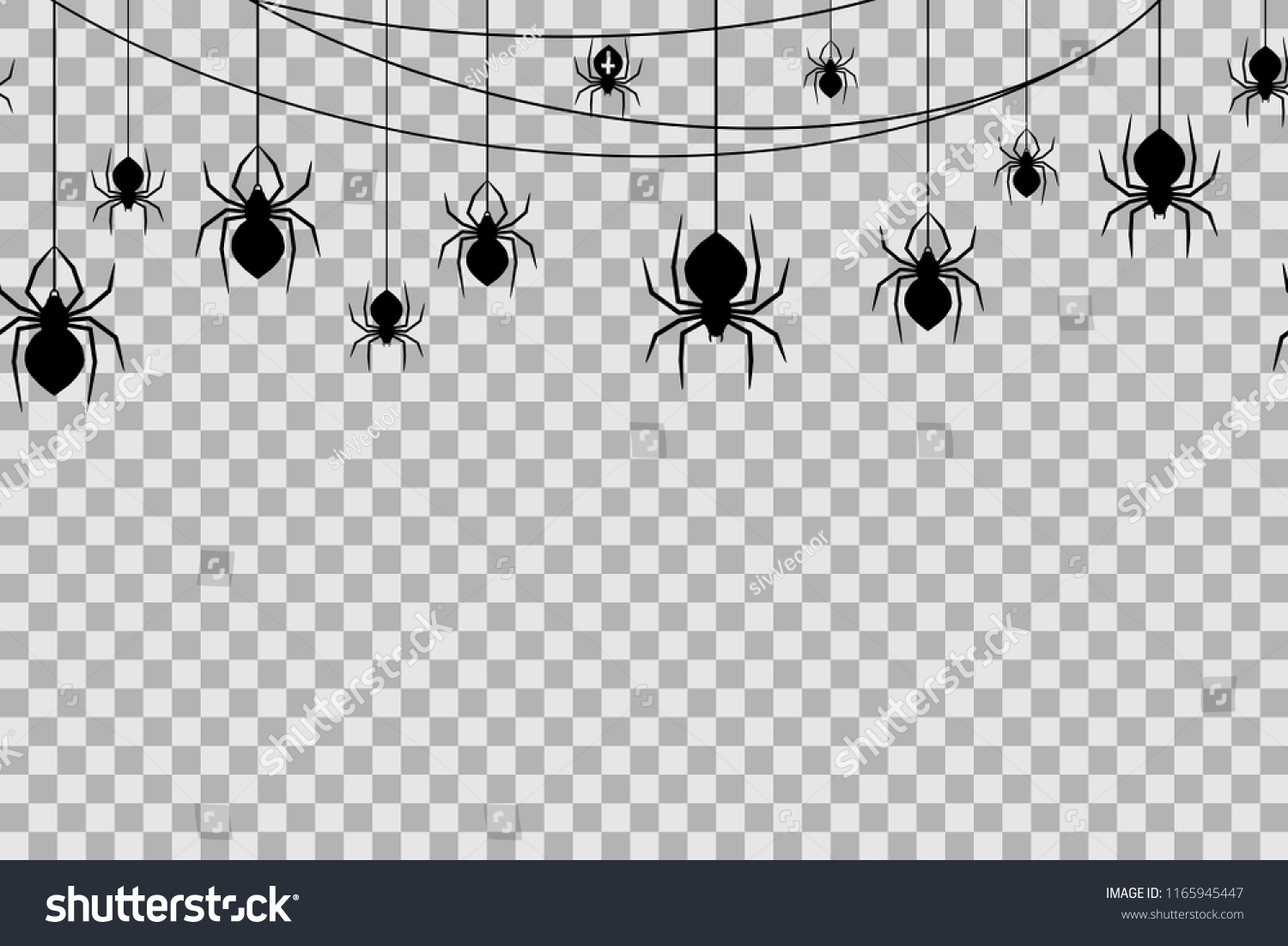 透明な背景にハロウィーンのお祝いに使うシームレスな模様とクモ ベクターイラスト 黒いクモとクモの巣のあるハロウィーンの背景 のベクター画像素材 ロイヤリティフリー