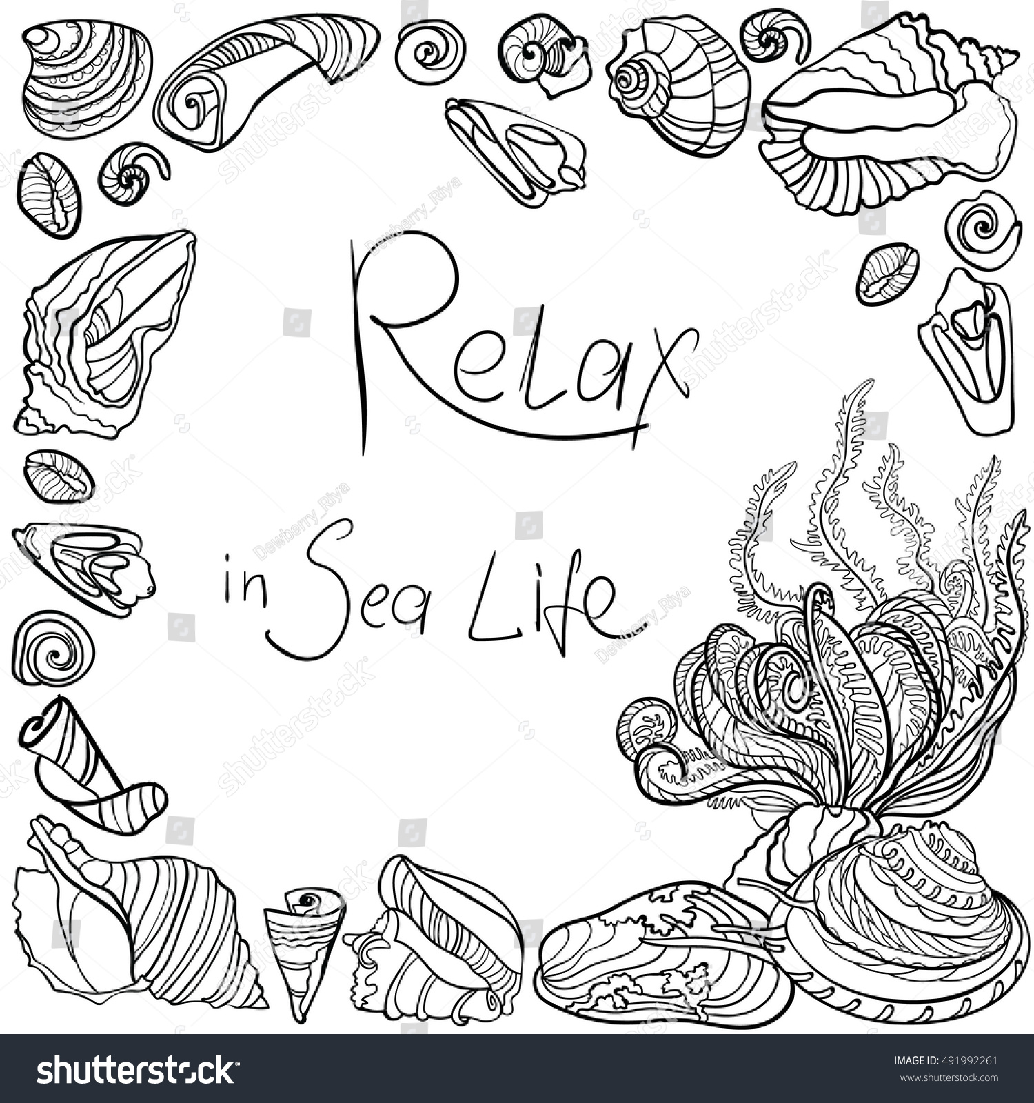 Seashell border frame ocean pattern Vector seashell illustration Zentangle seashell Coloring book