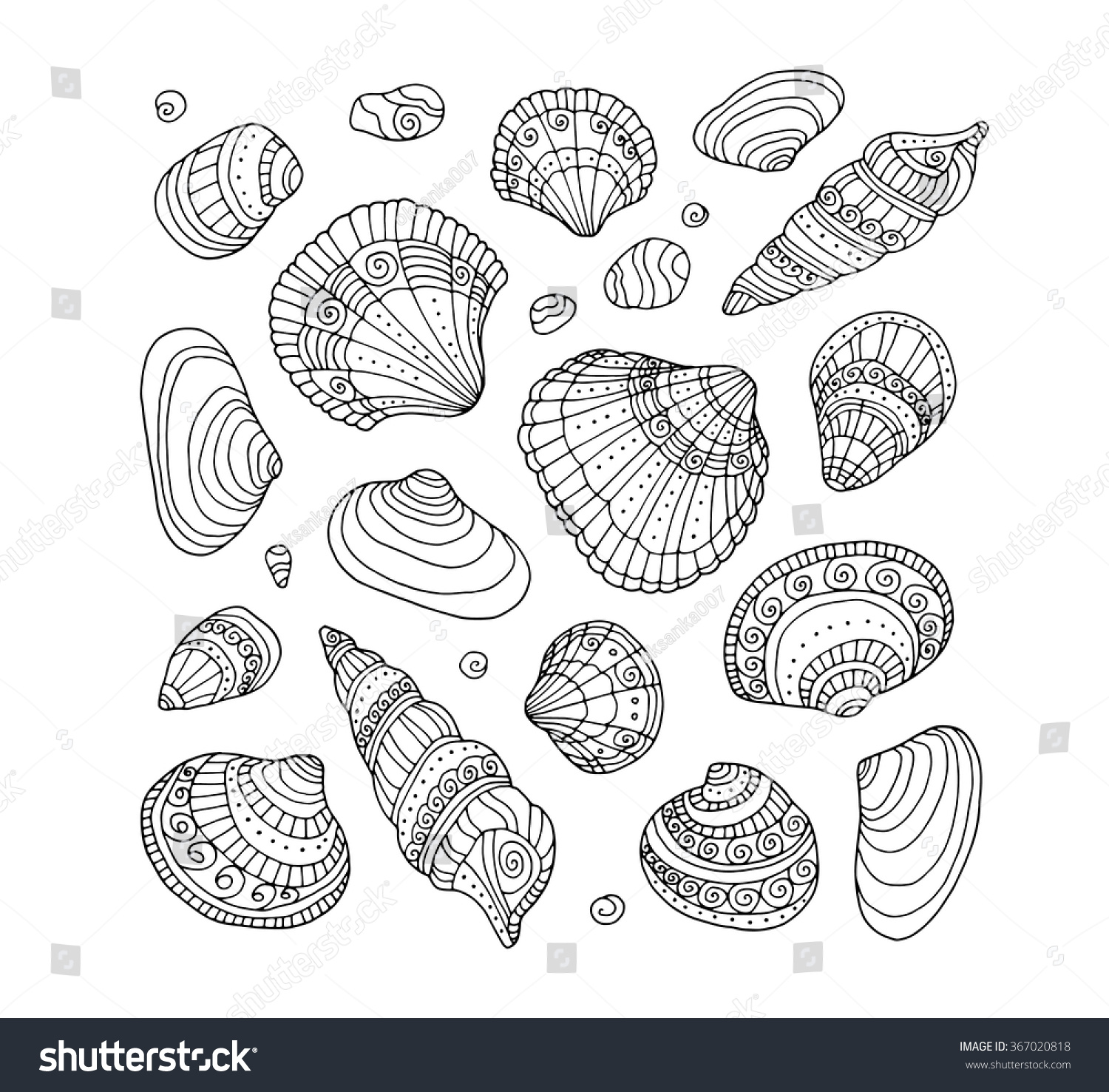 Seashell set collection Vector illustration Zentangle Coloring book page for adult Hand