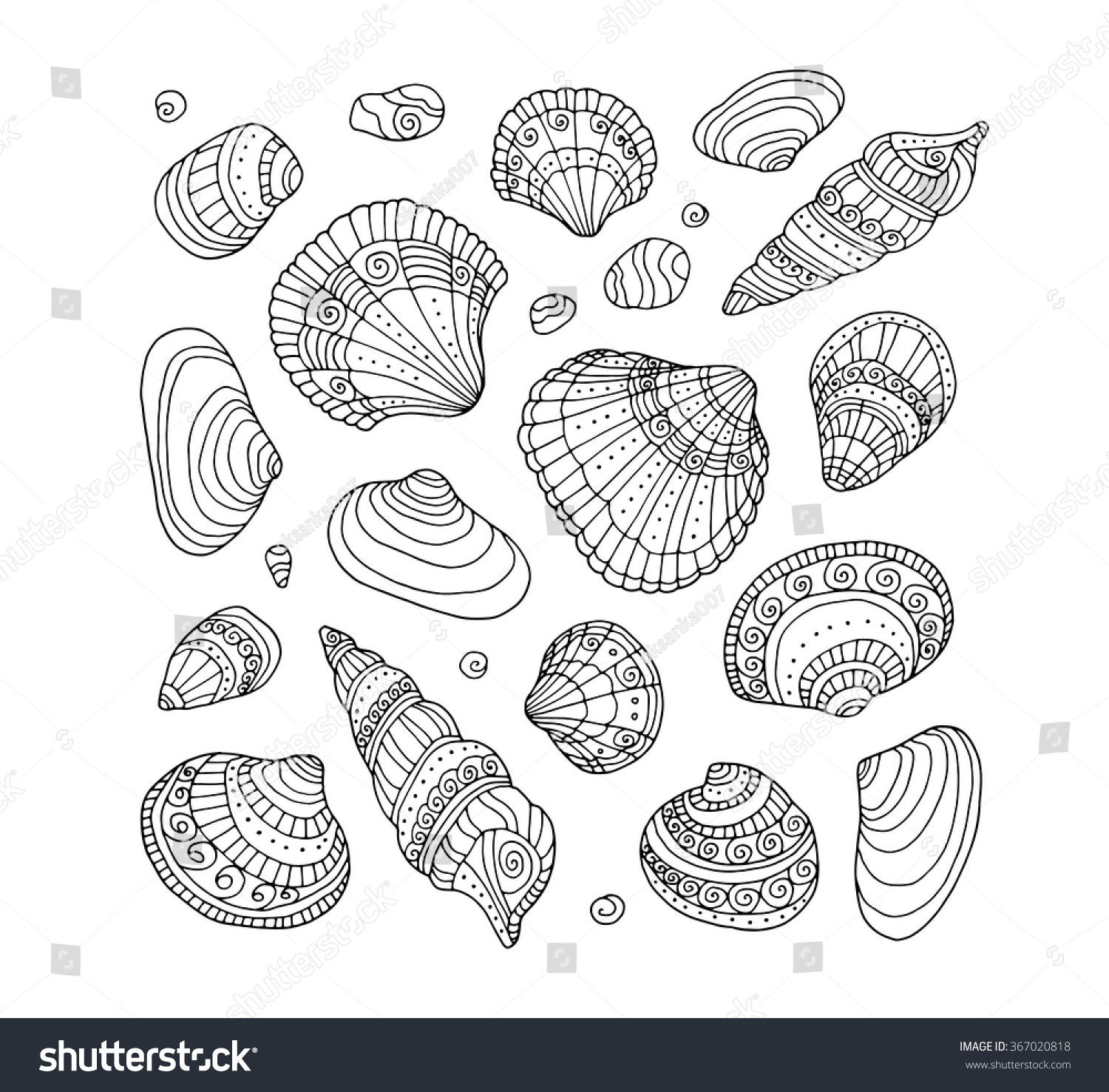 Seashell Coloring Pages for Adults | Thousand of the Best printable ...