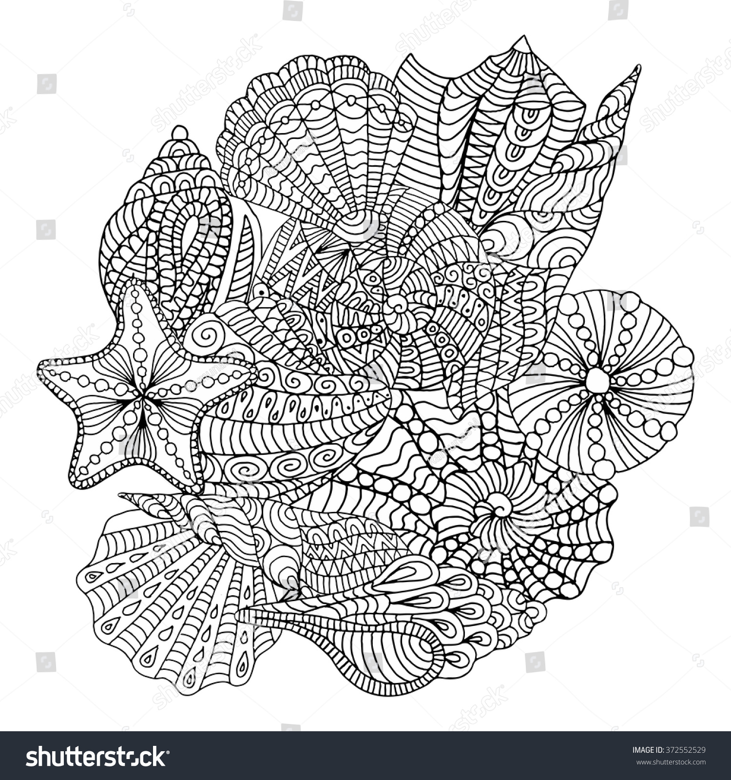 Seashells Zentangle Pattern Coloring Book Stock Vector 372552529 Shutterstock