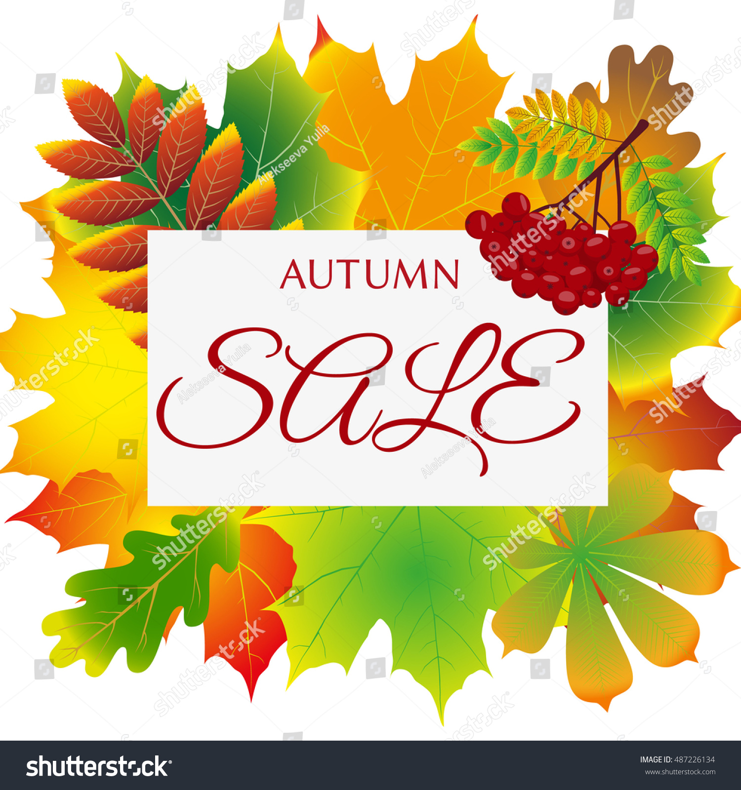 seasonal autumn