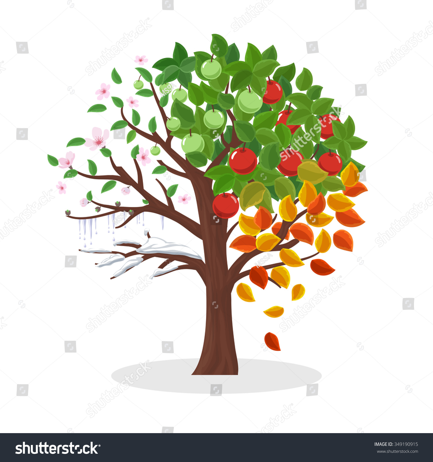 Seasons Tree Spring Summer Autumn Winter Stock Vector 349190915 ...