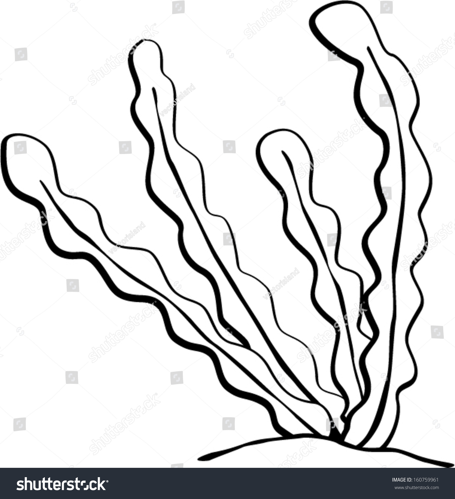 Seaweed Stock Vector 160759961 - Shutterstock