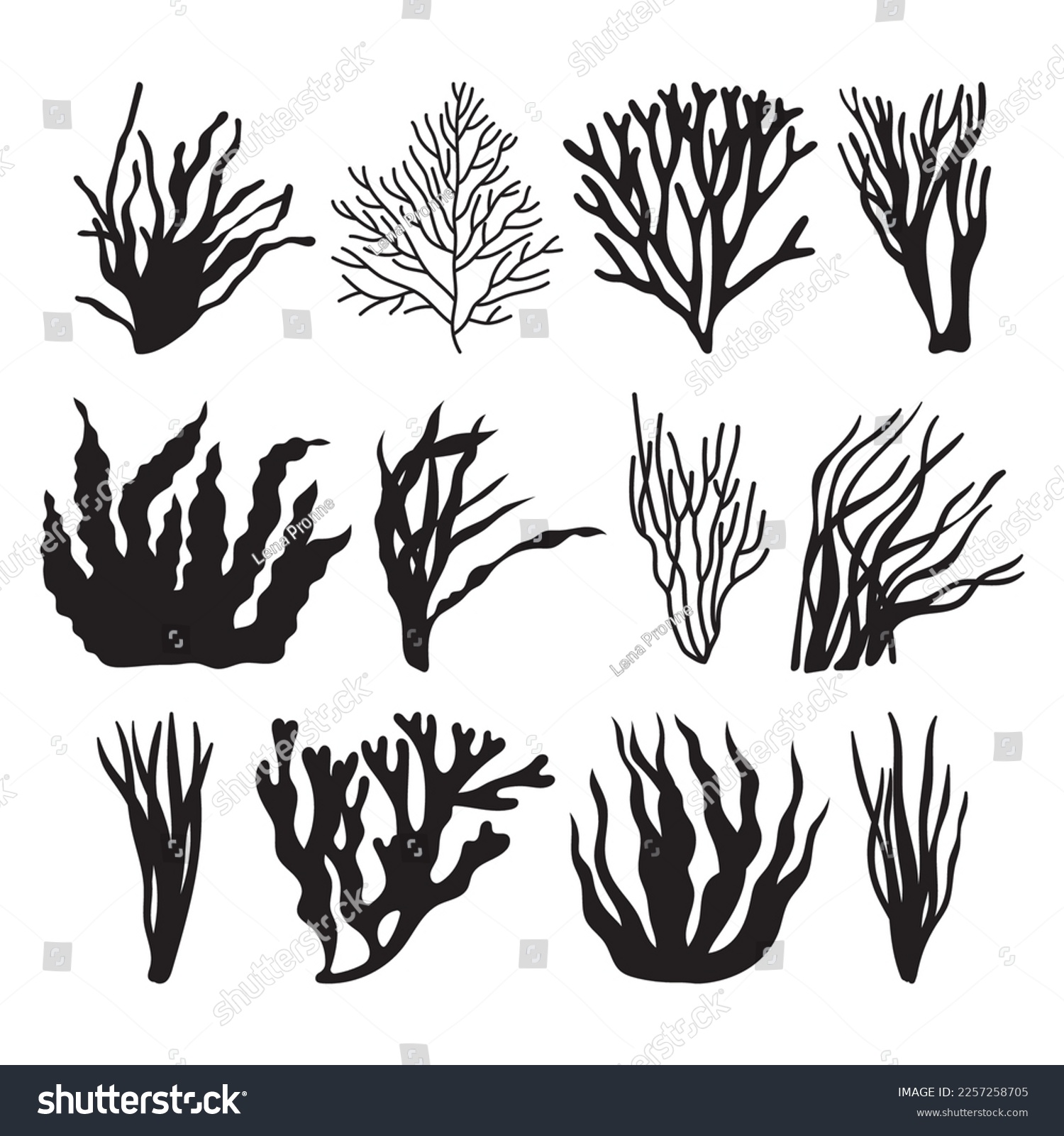 SVG of Seaweed illustrated silhouette, stencil templates set, objects for printing sublimation svg