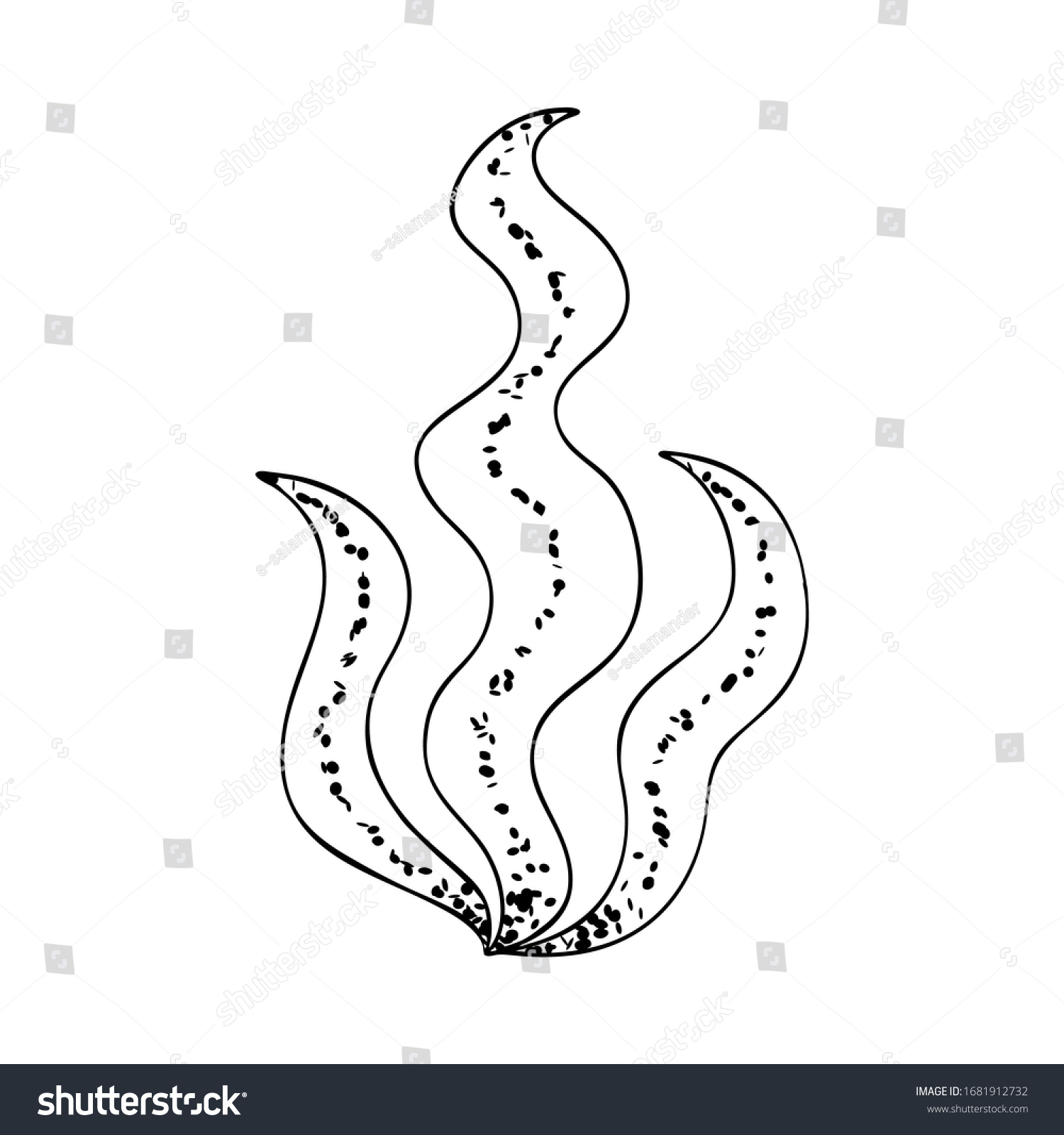 Seaweed Simple Style Black Outline Dots Stock Vector (Royalty Free ...