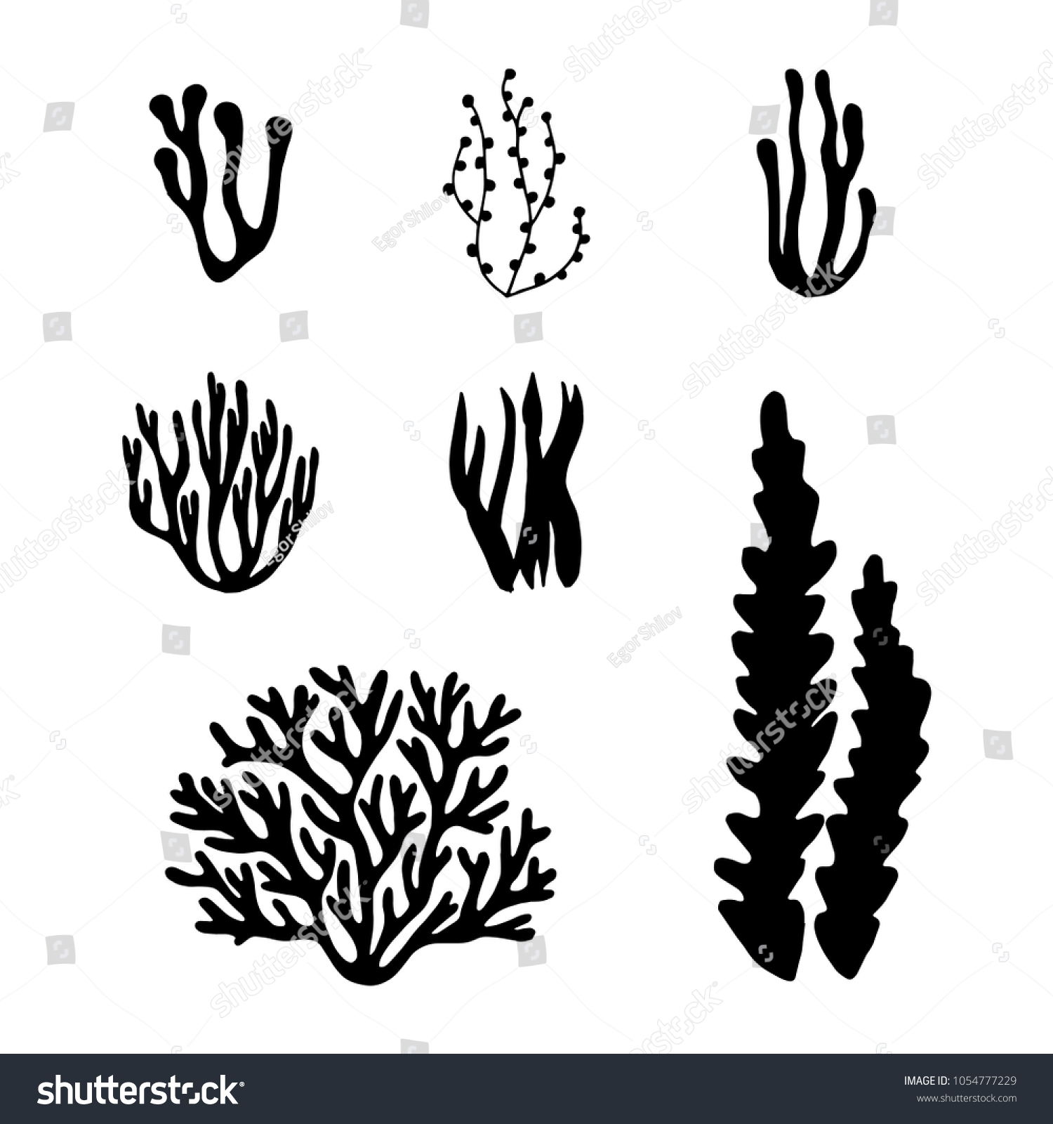 Seaweed Sea Black Silhouette Vector Set Stock Vector (Royalty Free ...