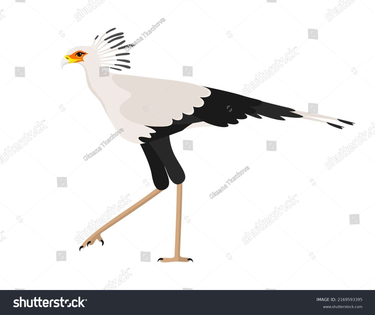 Secretary Bird Isolated On White Background Stock Vector Royalty Free 2169593395 Shutterstock 7393