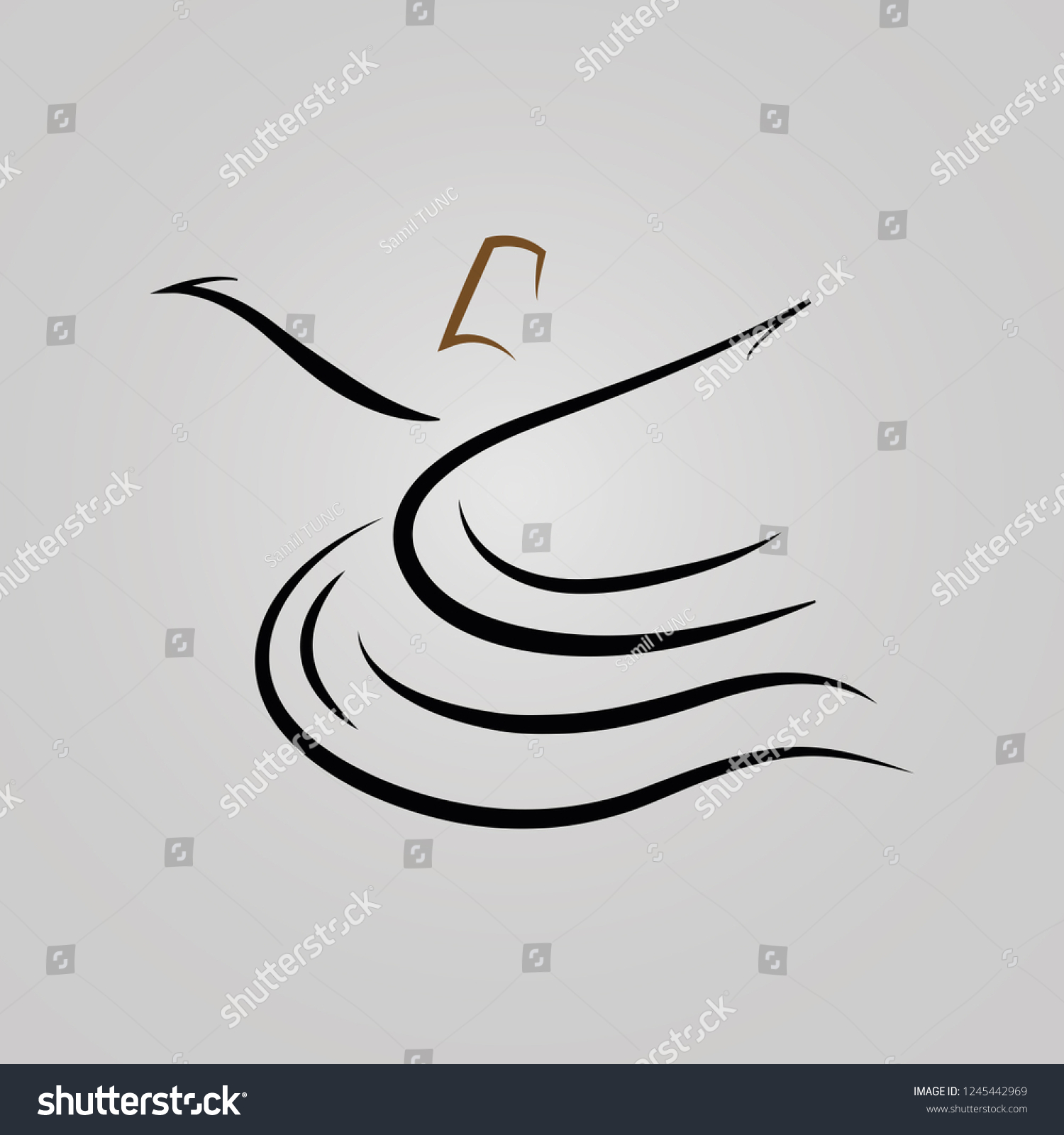 Semazen Dervish Dance Stock Vector (Royalty Free) 1245442969