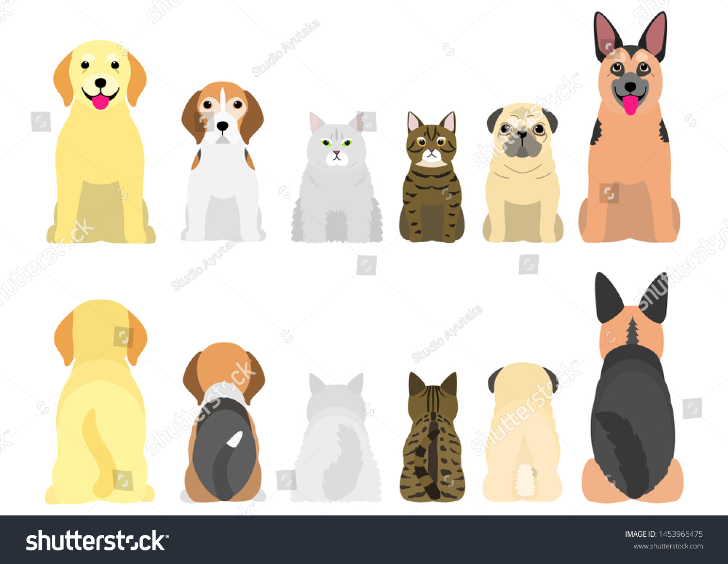 Senior Dogs Cats Row Front Back Stock Vector (Royalty Free) 1453966475