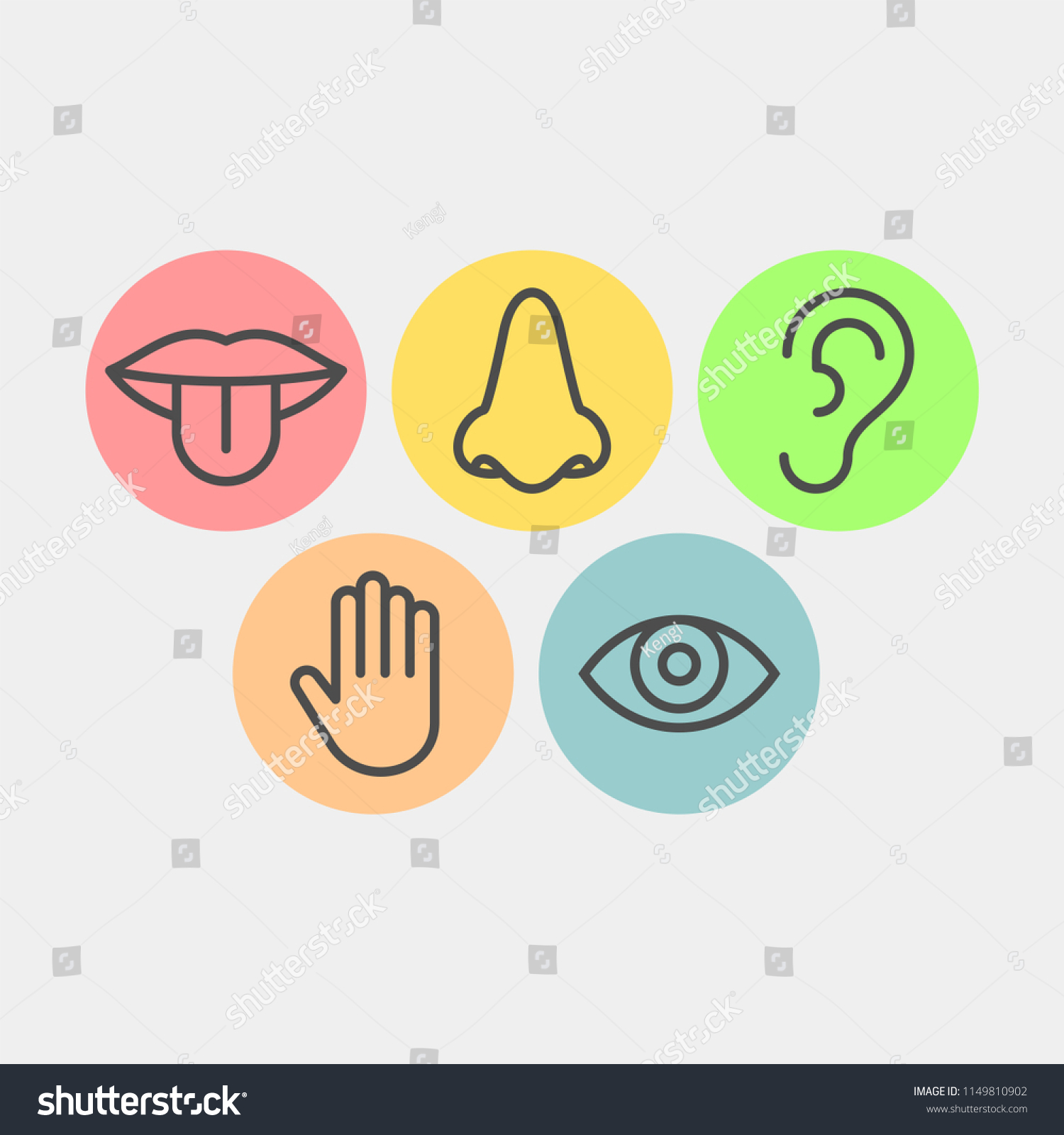 Sense Organs Flat Vector Icons Stock Vector (Royalty Free) 1149810902 ...