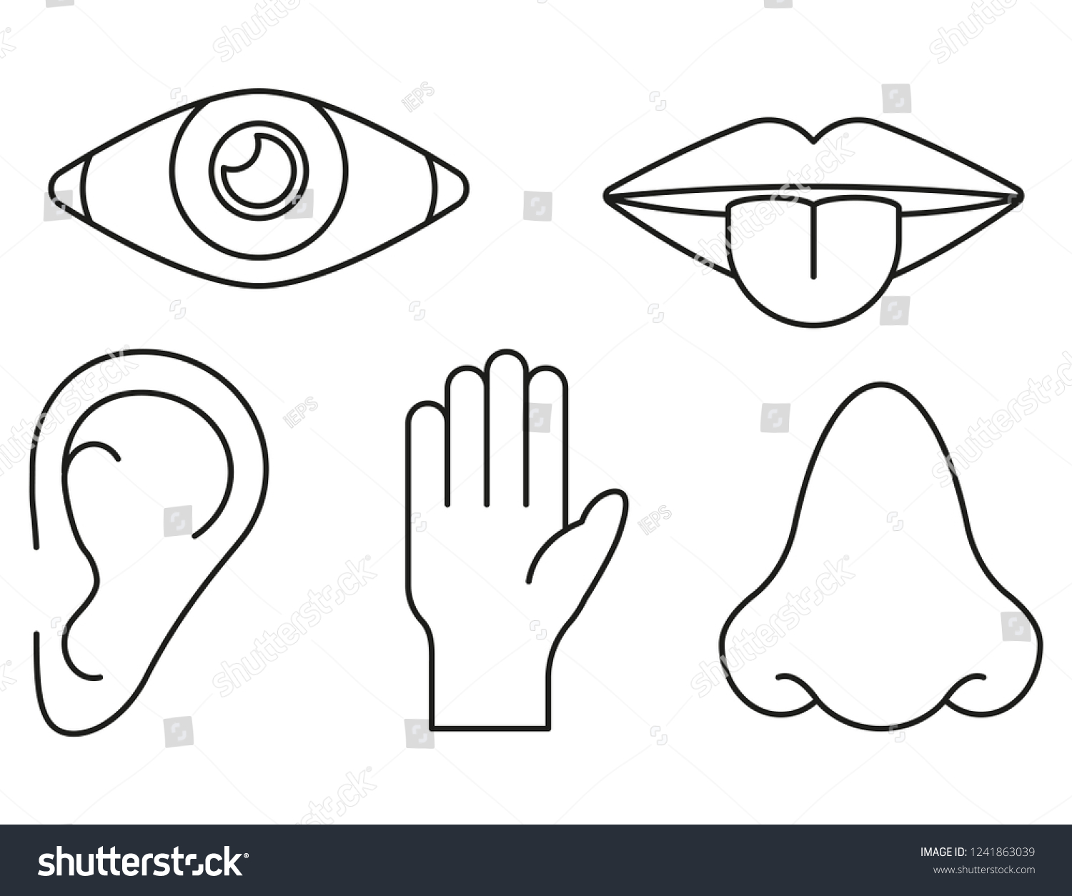 Sense Organs Lines Style On White Stock Vector (Royalty Free ...