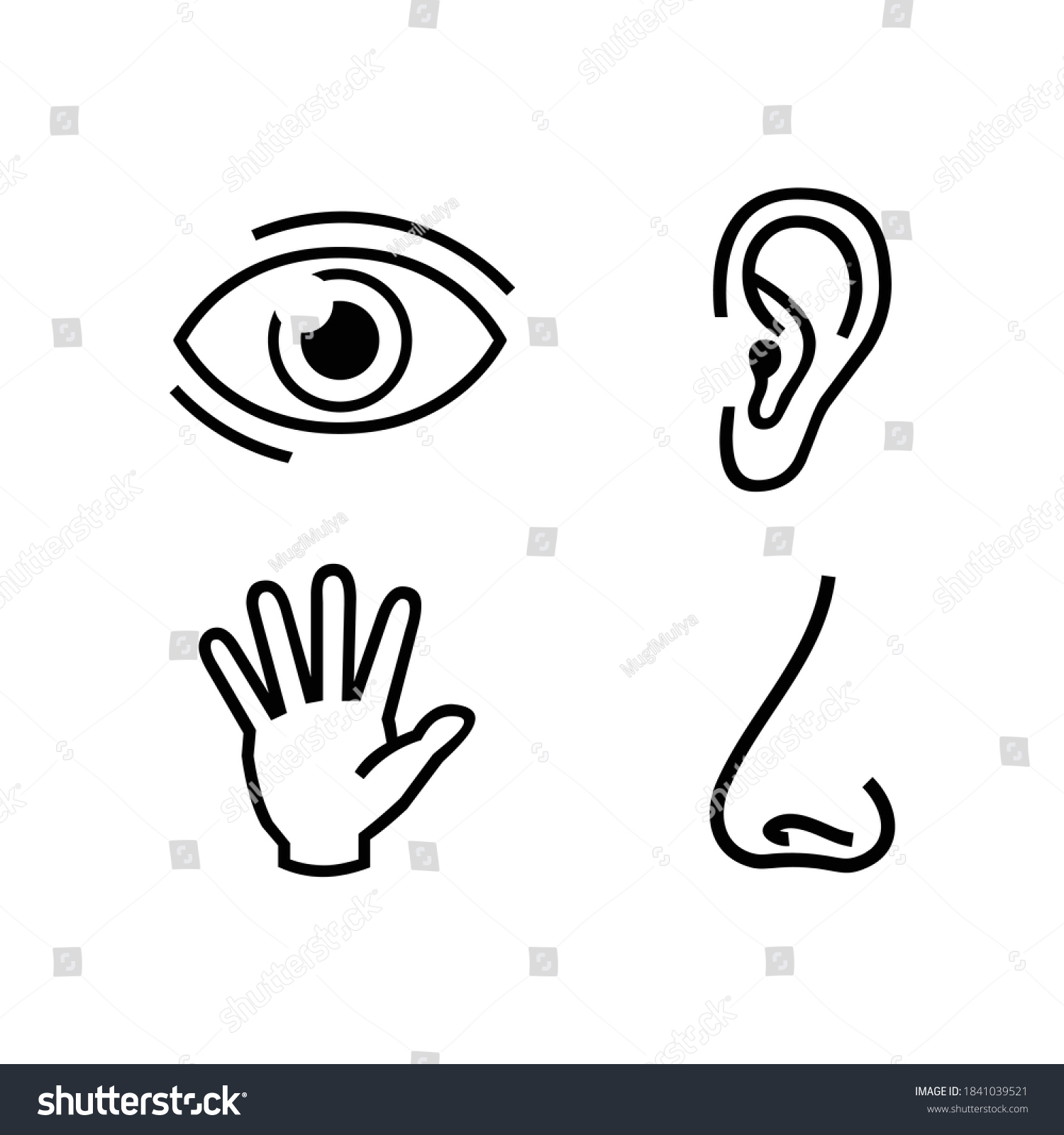 Sense Organs Vector Icon Illustration Stock Vector (royalty Free 