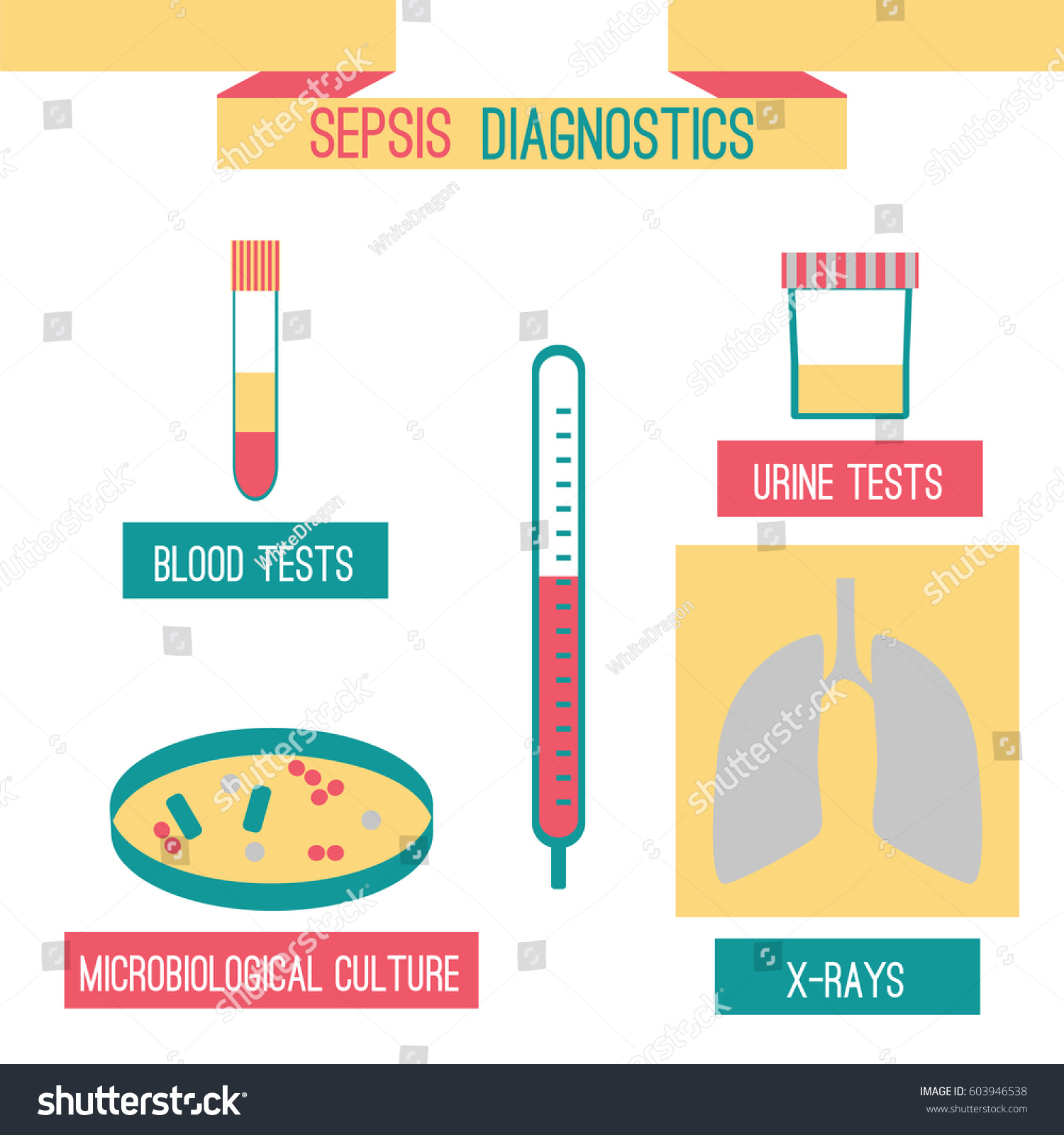 Sepsis Diagnostics Infographics Template Blood Urine Stock Vector ...