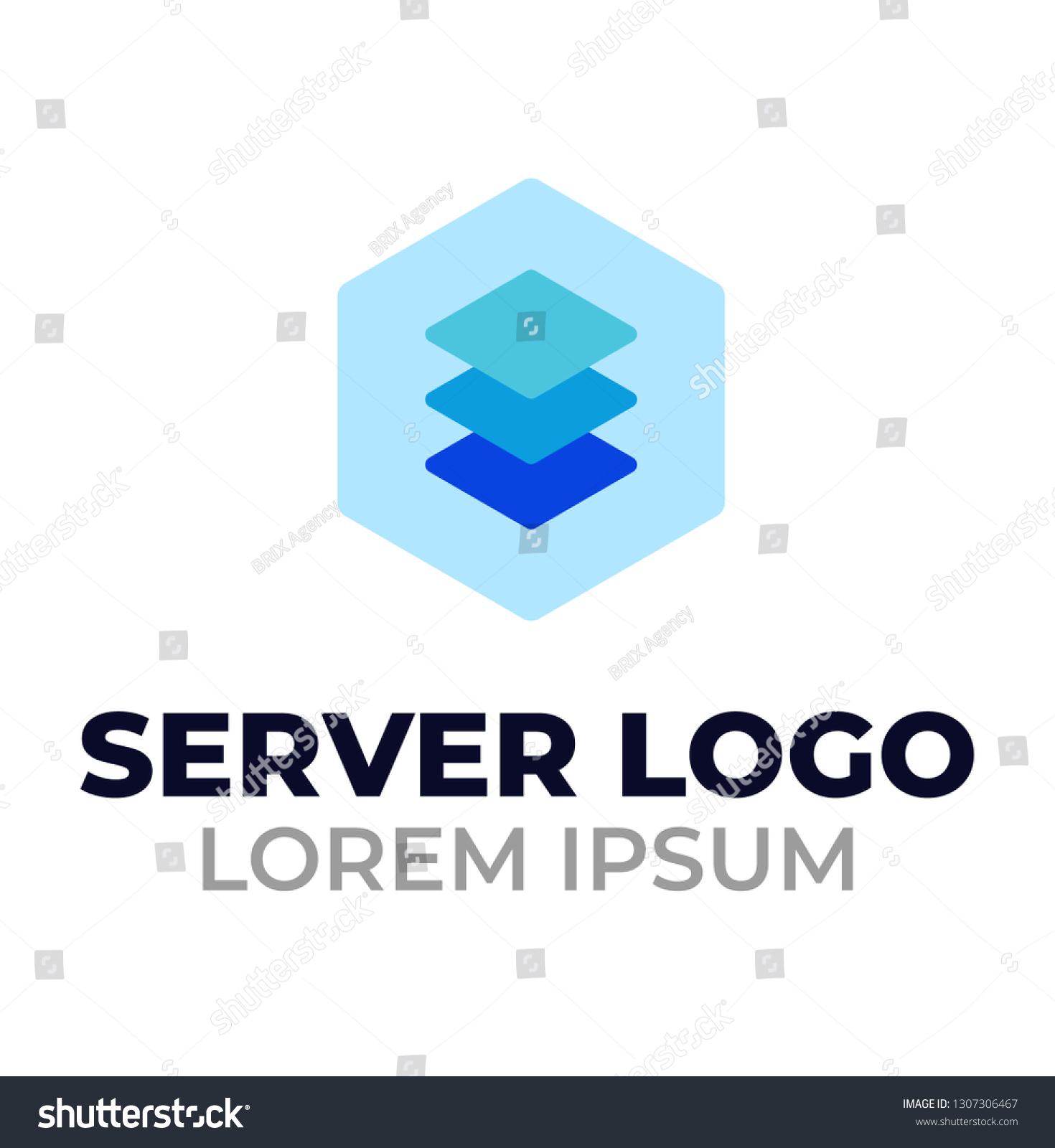 Server Hosting Framework Web Application Development Stock Vector Royalty Free 1307306467