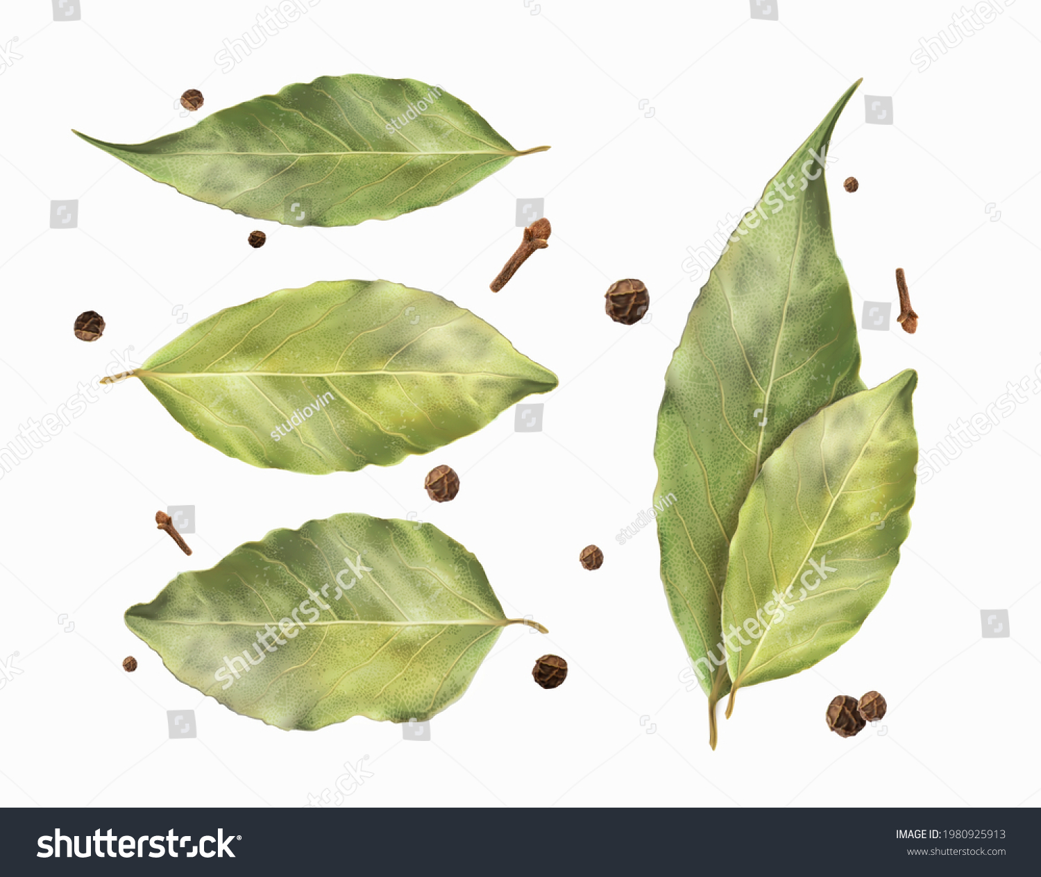 SVG of Set bay leaf and black pepper. Vector illustration. svg
