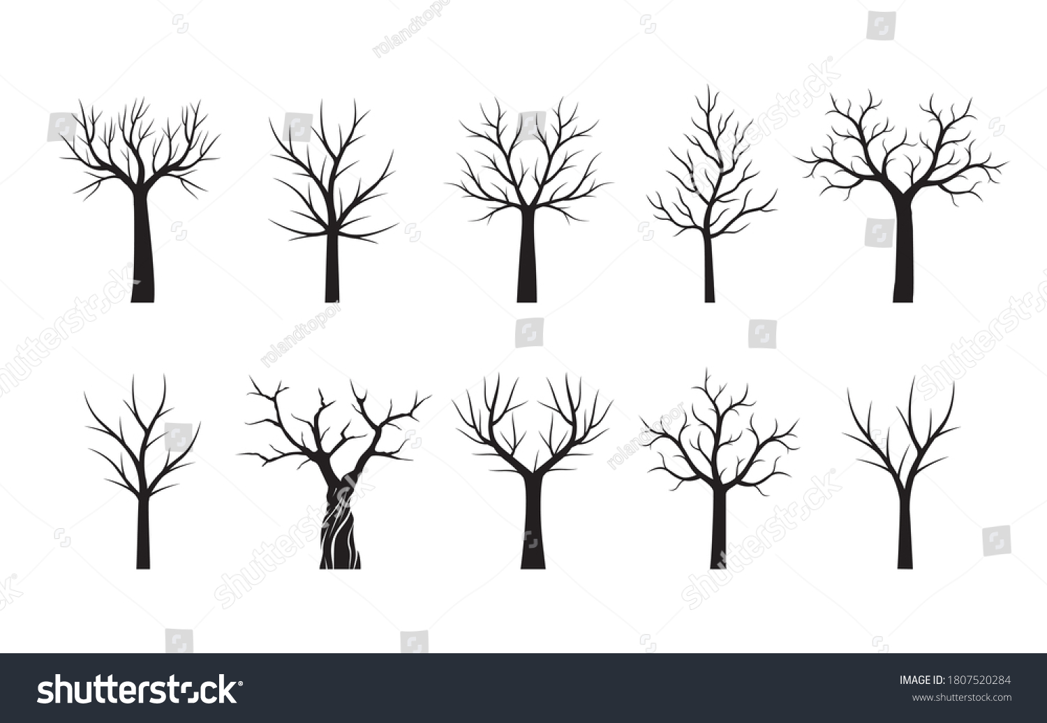 Vektor Stok Set Black Naked Trees Vector Outline Tanpa Royalti Shutterstock