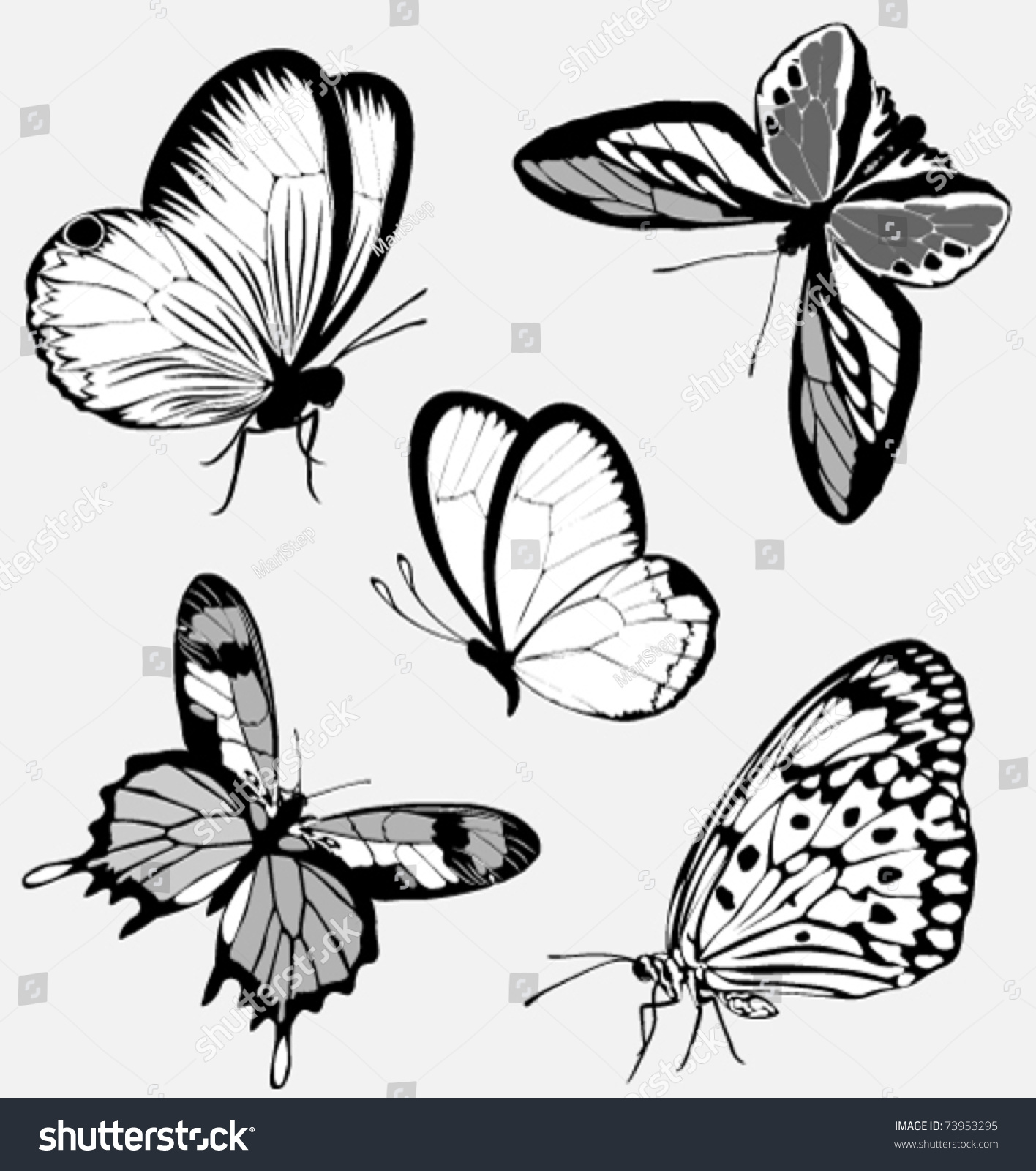 set black white butterflies tattoo stock vector 73953295 set black white butterflies tattoo stock vector 73953295