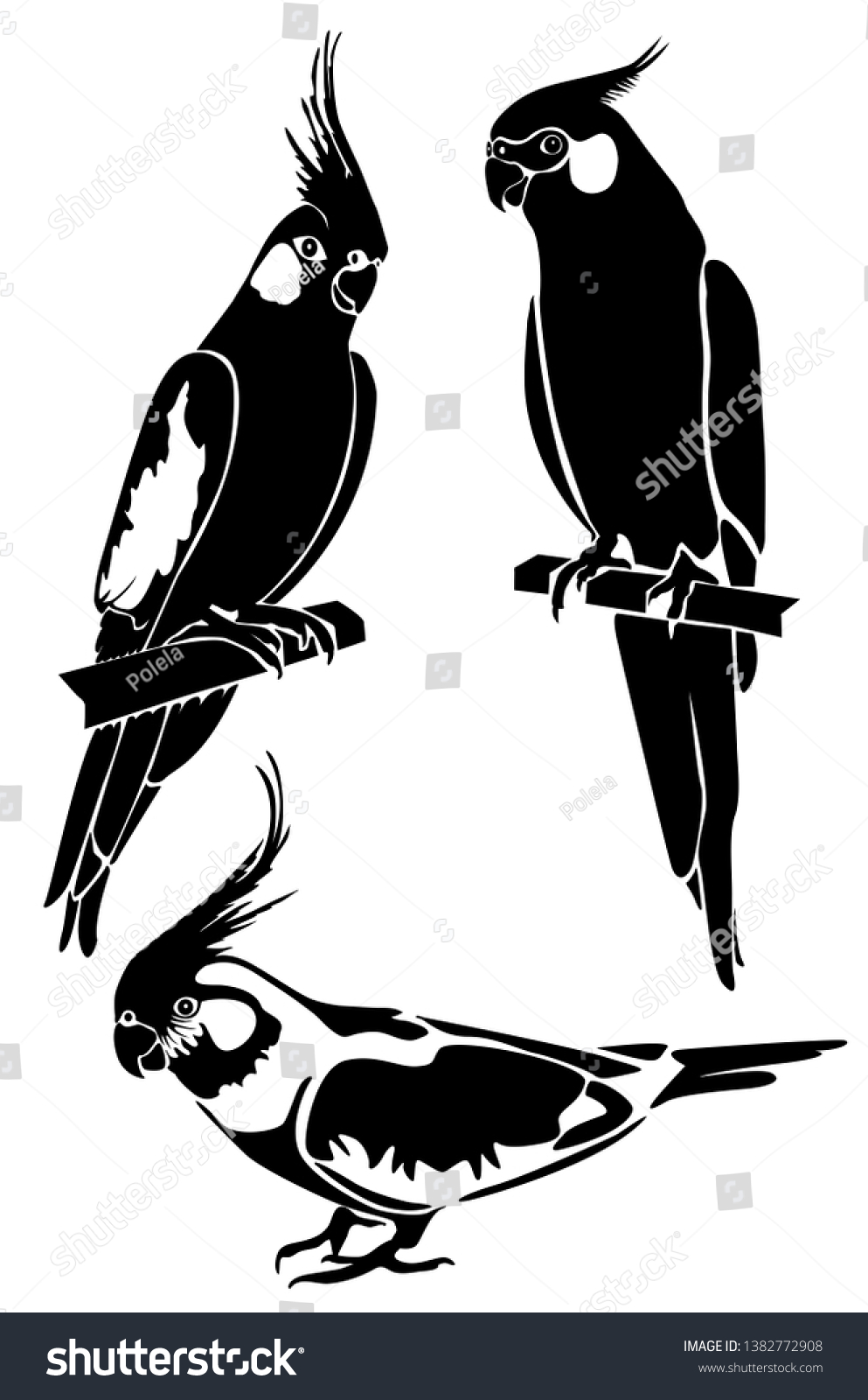 set cockatiel bird stencils laser cutting stock vector royalty free 1382772908 shutterstock