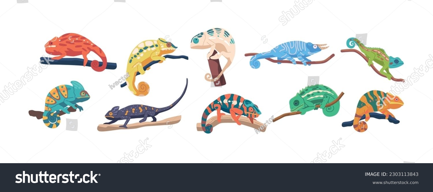 SVG of Set Colorful Chameleons With Distinctive Scales And Eyes Can Move Independently To Help Them See In Multiple Directions svg