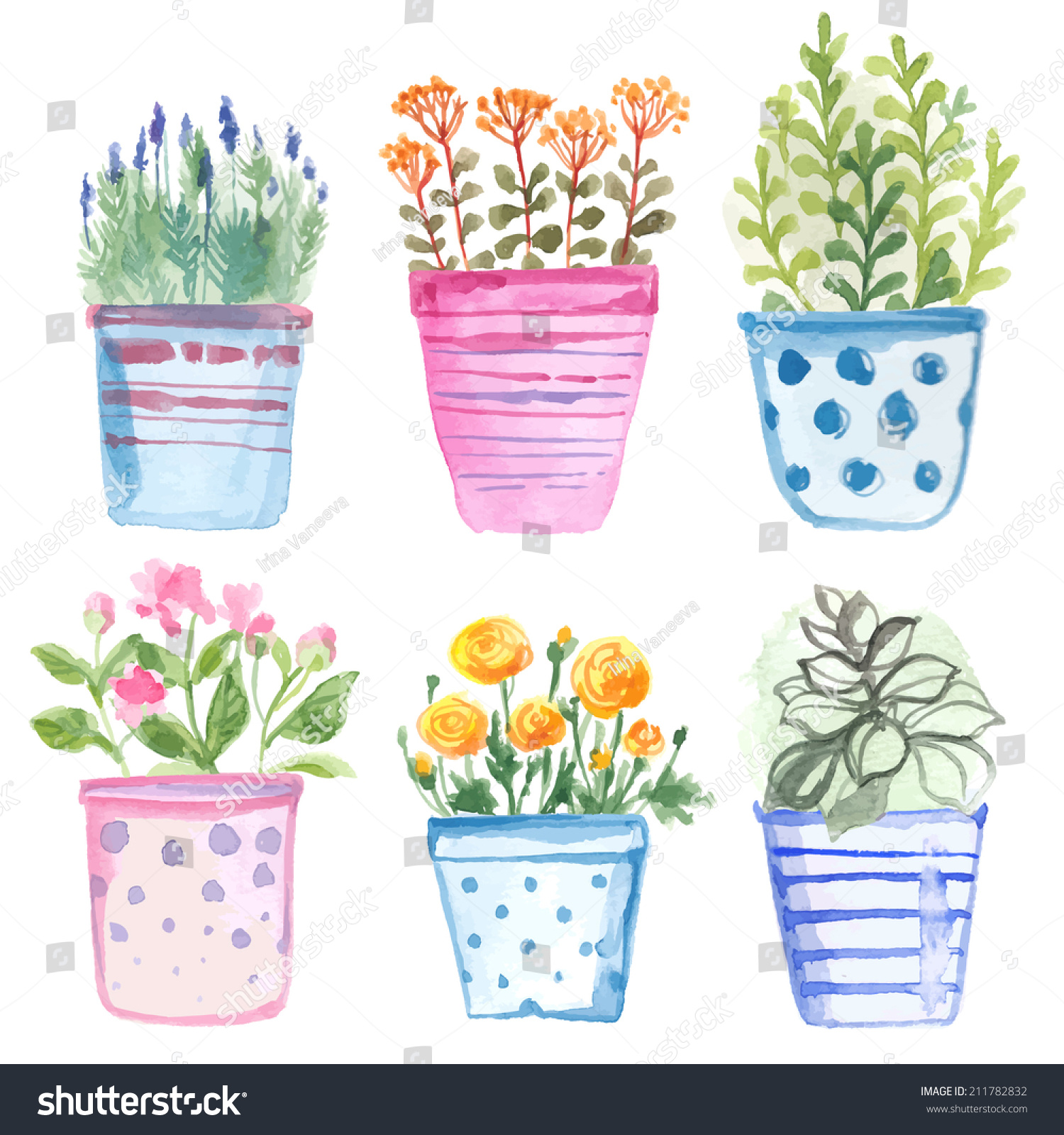 Set Flowers Pot Watercolor Vector Stock Vector (Royalty Free) 211782832