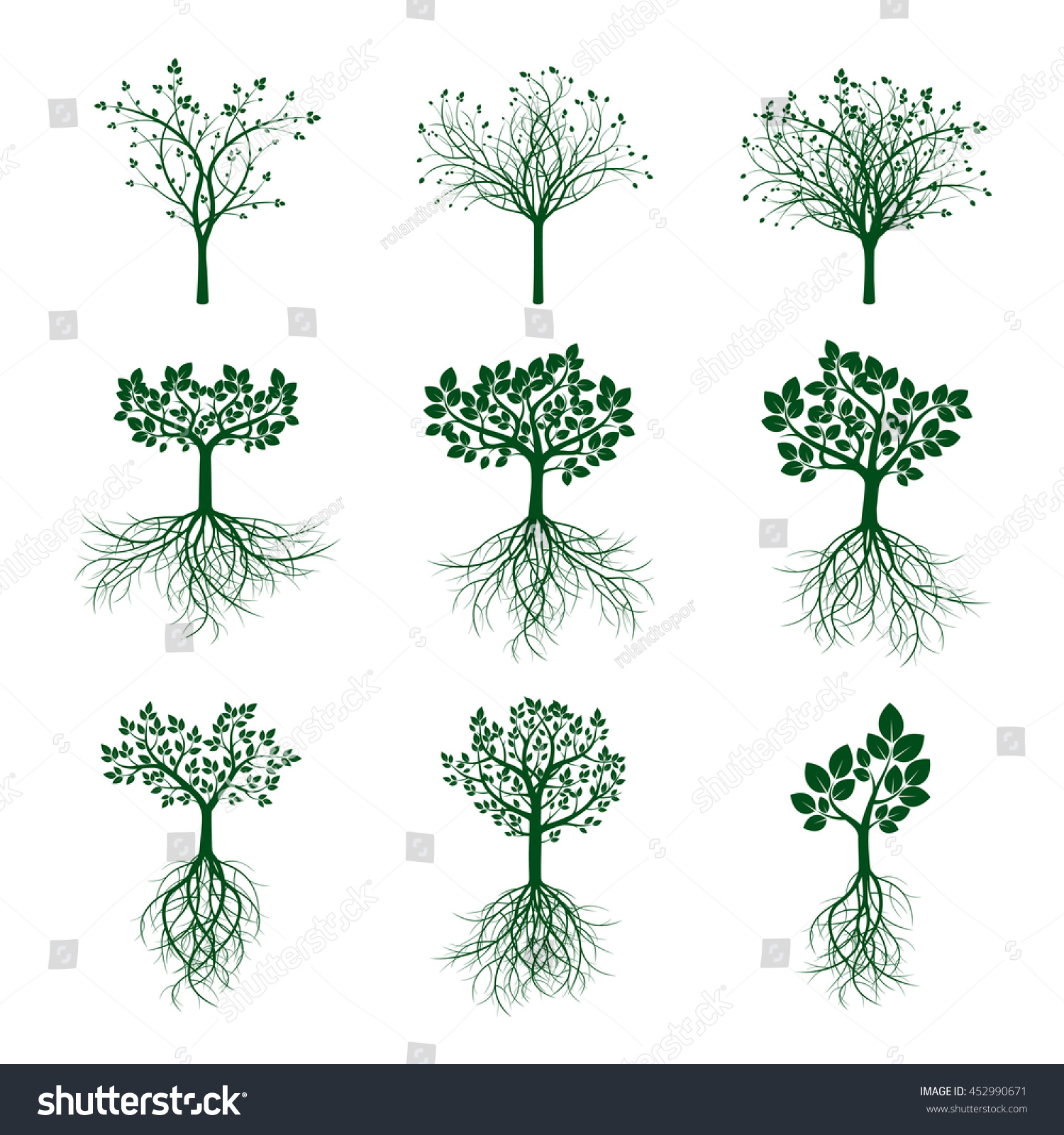 Set Green Trees Roots Vector Illustration Stock Vector (Royalty Free ...