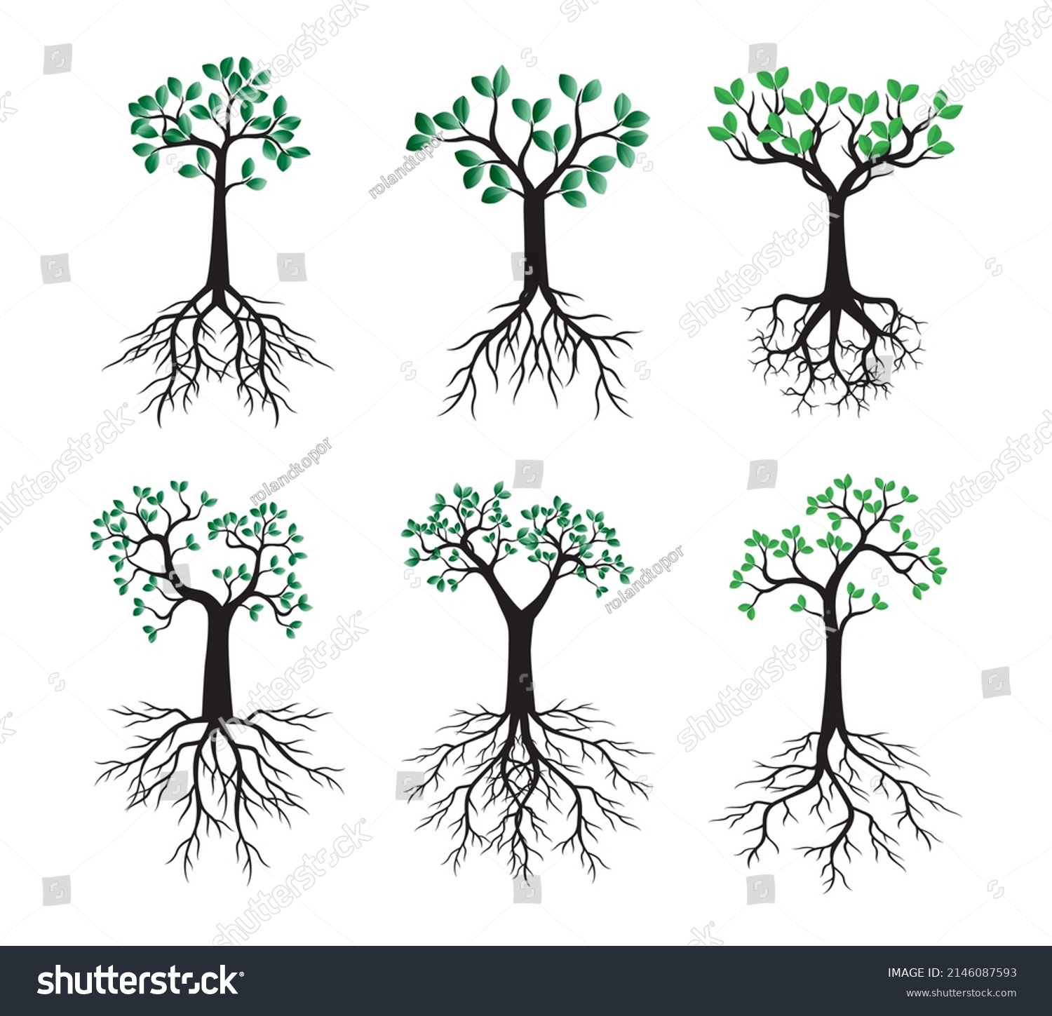 Set Green Trees Roots Vector Outline Stock Vector (Royalty Free ...