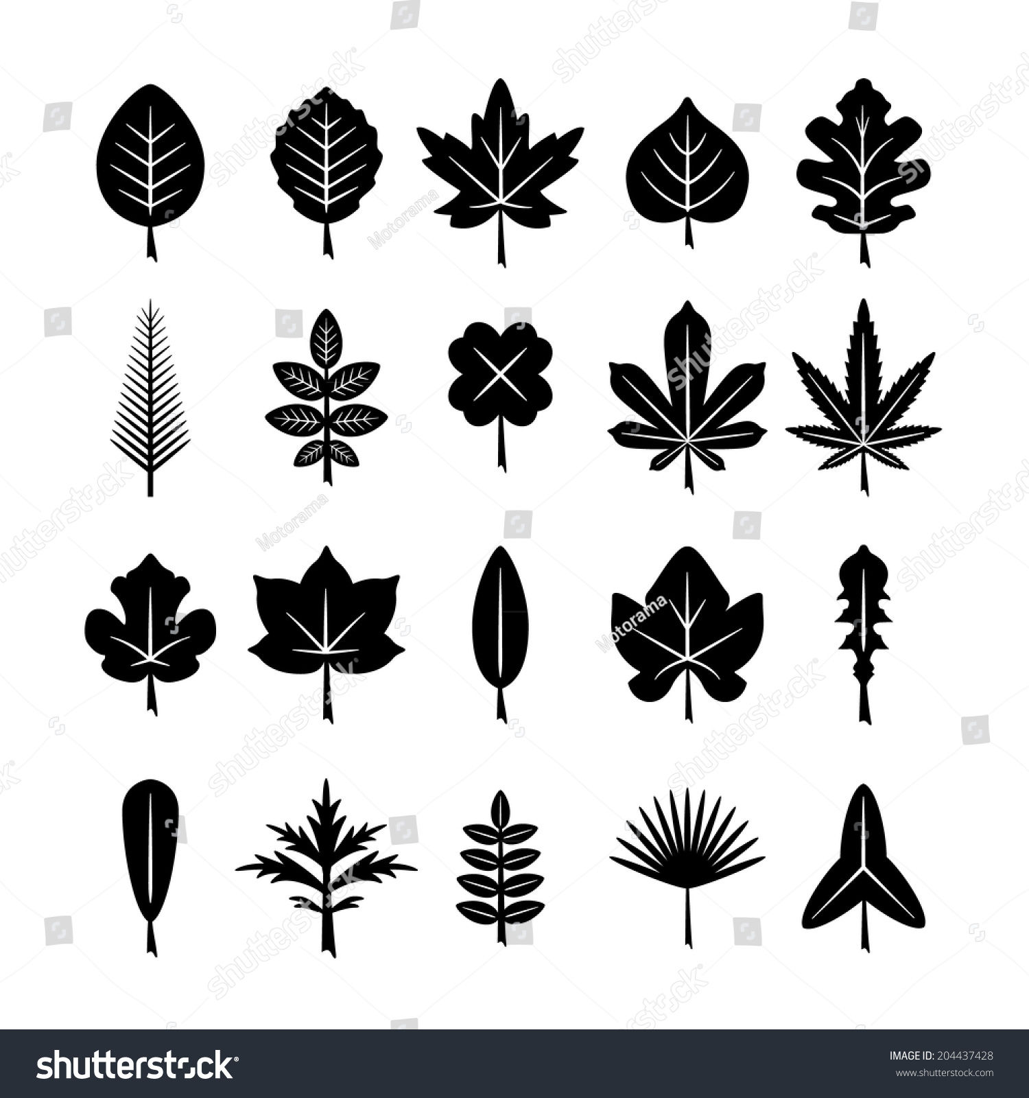 Set Icons Leaf Isolated On White Stock Vector 204437428 - Shutterstock