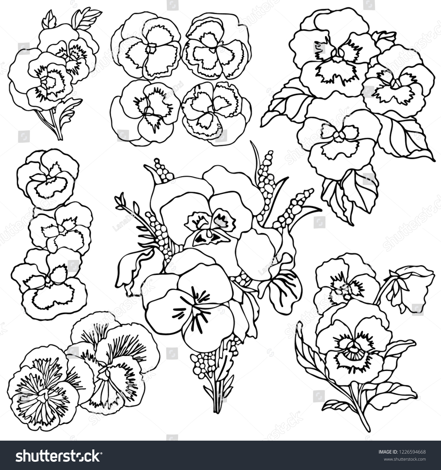 Set Monochrome Flowers Pansies Violet Vector Stock Vector Royalty Free 1226594668