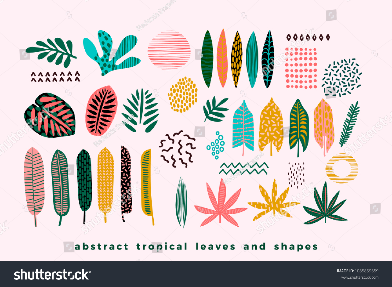 SVG of Set of abstract tropical leaves. Vector design elements. svg