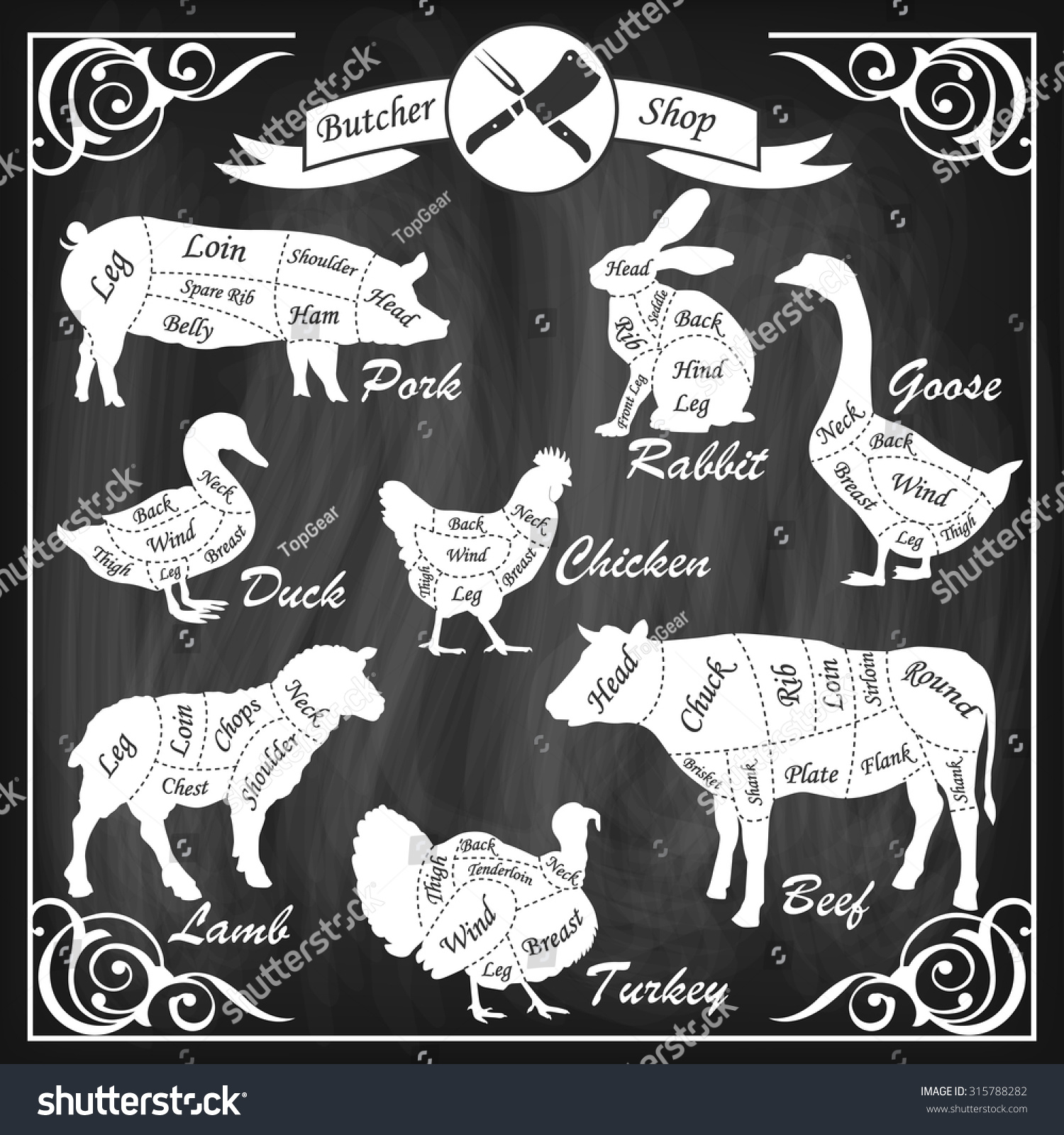 Set Of Animal Cuts For Butcher'S Shop. Animal Silhouettes Isolated On A ...