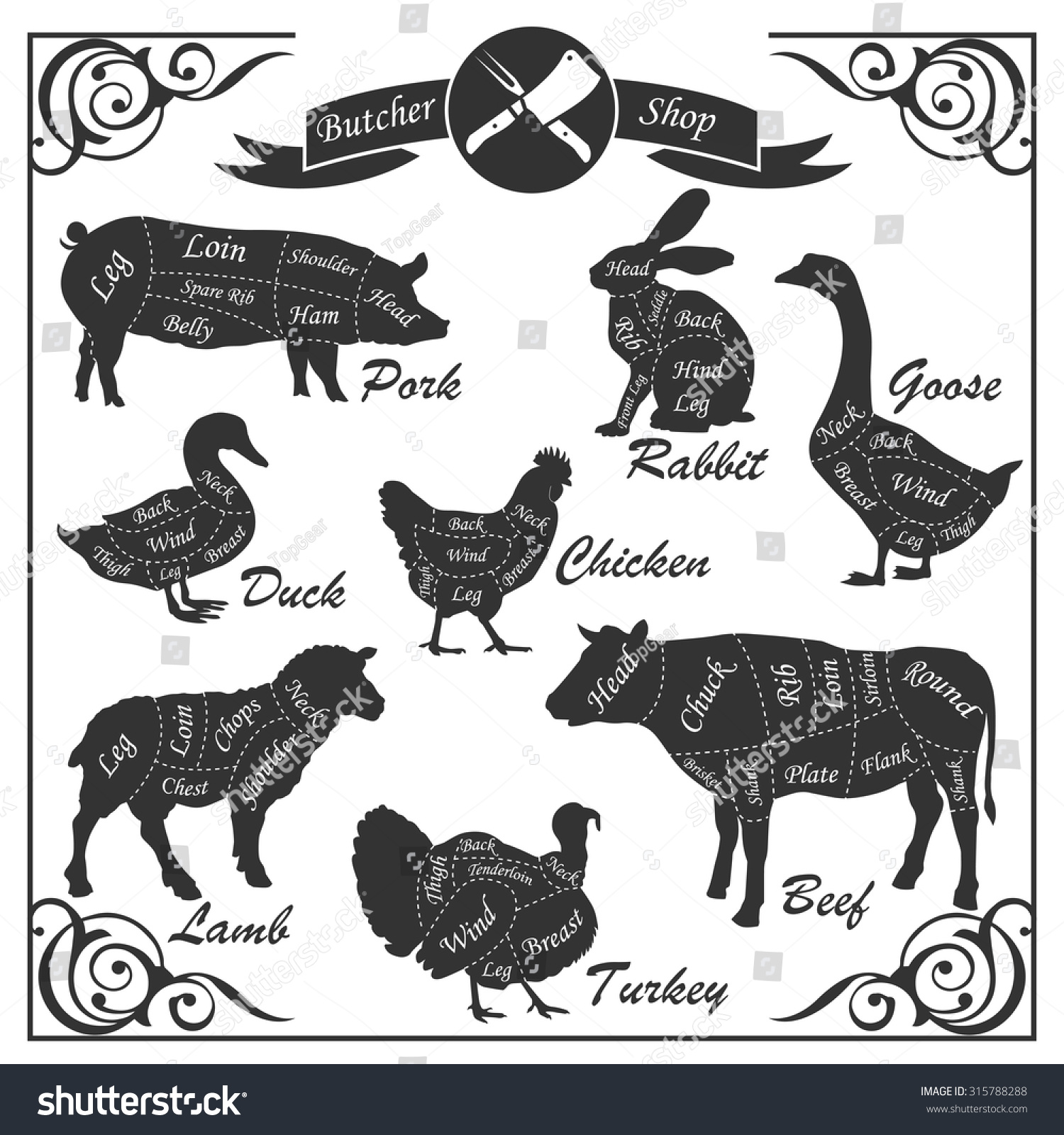 Set Of Animal Cuts For Butcher'S Shop. Animal Silhouettes Isolated On A ...