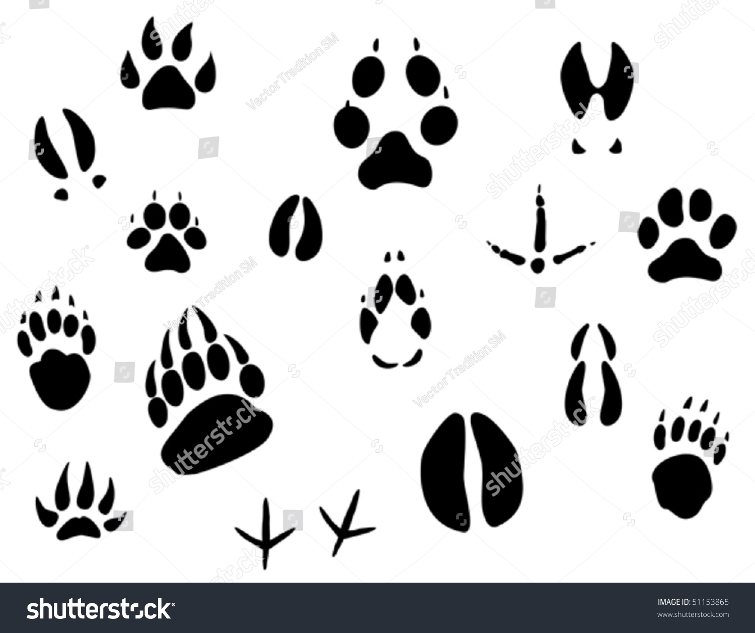 SVG of Set of animal footprints for ecology design. Jpeg version also available in gallery svg