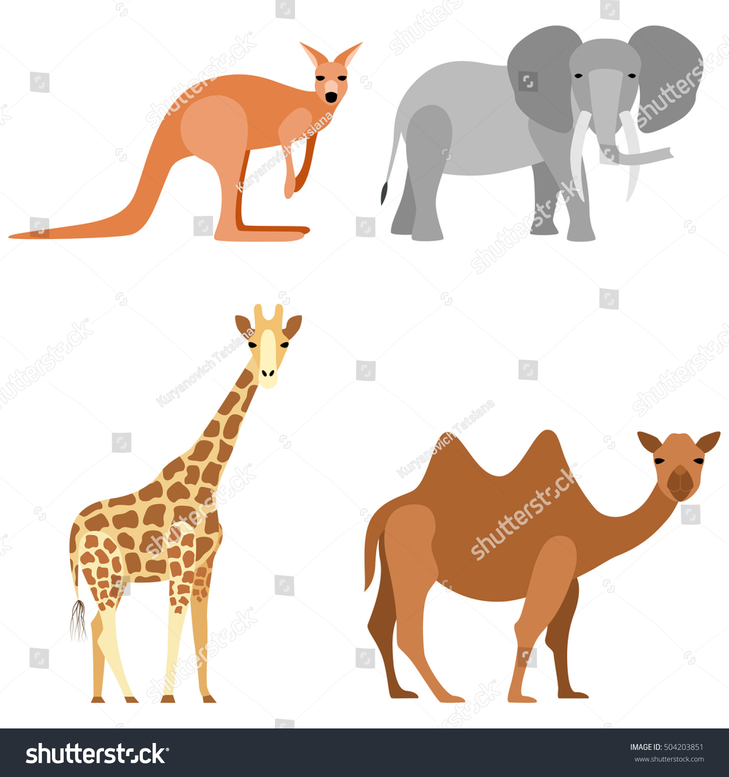 Set Animals Elephant Camel Giraffe Kangaroo Stock Vector (Royalty Free ...