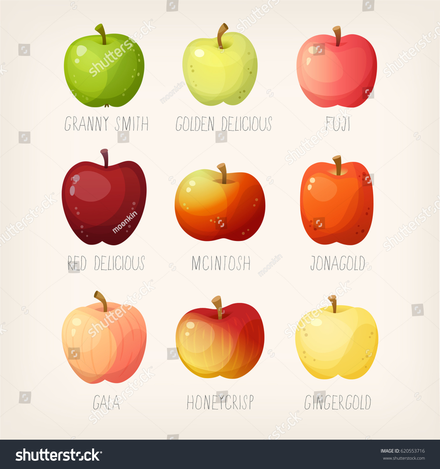 Featured image of post Steps to Prepare All Apple Fruit Names